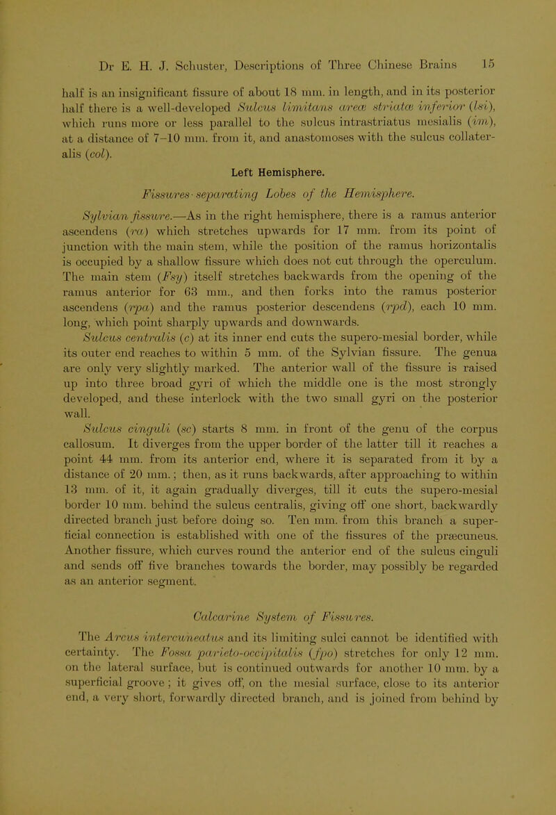 half is an insignificant fissure of about 18 mm. in length, and in its posterior half there is a well-developed Sulcus limitans arece striated inferior (Isi), which runs more or less parallel to the sulcus intrastriatus mesialis (im), at a distance of 7-10 mm. from it, and anastomoses with the sulcus collater- al^ (col). Left Hemisphere. Fissures ■ separating Lobes of the Hemisphere. Sylvian fissure.—As in the right hemisphere, there is a ramus anterior ascendens (ra) which stretches upwards for 17 mm. from its point of junction with the main stem, while the position of the ramus horizontalis is occupied by a shallow fissure which does not cut through the operculum. The main stem (Fsy) itself stretches backwards from the opening of the ramus anterior for 63 mm., and then forks into the ramus posterior ascendens (rpa) and the ramus posterior descendens (rpd), each 10 mm. long, which point sharply upwards and downwards. Sulcus centralis (c) at its inner end cuts the supero-mesial border, while its outer end reaches to within 5 mm. of the Sylvian fissure. The genua are only very slightly marked. The anterior wall of the fissure is raised up into three broad gyri of which the middle one is the most strongly developed, and these interlock with the two small gyri on the posterior wall. Sulcus cinguli (sc) starts 8 mm. in front of the genu of the corpus callosum. It divei'ges from the upper border of the latter till it reaches a point 44 mm. from its anterior end, where it is separated from it by a distance of 20 mm.; then, as it runs backwards, after approaching to within 13 mm. of it, it again gradually diverges, till it cuts the supero-mesial border 10 mm. behind the sulcus centralis, giving off one short, backwardly directed branch just before doing so. Ten mm. from this branch a super- ficial connection is established with one of the fissures of the preecuneus. Another fissure, which curves round the anterior end of the sulcus cinguli and sends off five branches towards the border, may possibly be regarded as an anterior segment. Calcarine System of Fissures. The Arcus intercuneatus and its limiting sulci cannot be identified with certainty. The Fossa pavieto-occipitalis (fpo) stretches for only 12 mm. on the lateral surface, but is continued outwards for another 10 mm. by a superficial groove ; it gives off, on the mesial surface, close to its anterior end, a very short, forwardly directed branch, and is joined from behind by
