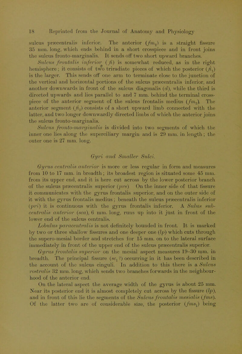 sulcus praecentralis inferior. The anterior (/m2) is a straight fissure 35 nun. long, which ends behind in a short crosspiece and in front joins the sulcus fronto-marginalis. It sends off two short upward branches. Sulcus frontalis inferior (ji) is somewhat reduced, as in the right hemisphere ; it consists of two triradiate pieces of which the posterior (fix) is the larger. This sends off one arm to terminate close to the junction of the vertical and horizontal portions of the sulcus praecentralis inferior, and another downwards in front of the sulcus diagonalis (d), while the third is directed upwards and lies parallel to and 7 mm. behind the terminal cross- piece of the anterior segment of the sulcus frontalis medius (/m2). The anterior segment (fif) consists of a short upward limb connected with the latter, and two longer downwardly directed limbs of which the anterior joins the sulcus fronto-marginalis. Sulcus fronto-marginalis is divided into two segments of which the inner one lies along the superciliary margin and is 29 mm. in length; the outer one is 27 mm. long. Gyri and Smaller Sulci. Gyrus centralis anterior is more or less regular in form and measures from 10 to 17 mm. in breadth; its broadest region is situated some 45 mm. from its upper end, and it is here cut across by the lower posterior branch of the sulcus praecentralis superior (firs) On the inner side of that fissure it communicates with the gyrus frontalis superior, and on the outer side of it with the gyrus frontalis medius ; beneath the sulcus praecentralis inferior (py'i) it is continuous with the gyrus frontalis inferior. A Sulus sub- centralis anterior (sea), 6 mm. long, runs up into it just in front of the lower end of the sulcus centralis. Lobidus paracentralis is not definitely bounded in front. It is marked by two or three shallow fissures and one deeper one (Ip) which cuts through the supero-mesial border and stretches for 15 mm. on to the lateral surface immediately in front of the upper end of the sulcus praecentralis superior. Gyrus frontalis superior on the mesial aspect measures 19-30 mm. in breadth. The principal fissure (sc1 ?) occurring in it has been described in the account of the sulcus cinguli. In addition to this there is a Sulcus rostralis 32 mm. long, which sends two branches forwards in the neighbour- hood of the anterior end. On the lateral aspect the average width of the gyrus is about 25 mm. Near its posterior end it is almost completely cut across by the fissure (Ip), and in front of this lie the segments of the Sulcus f rontalis mesialis (fans). Of the latter two are of considerable size, the posterior (fmsx) being