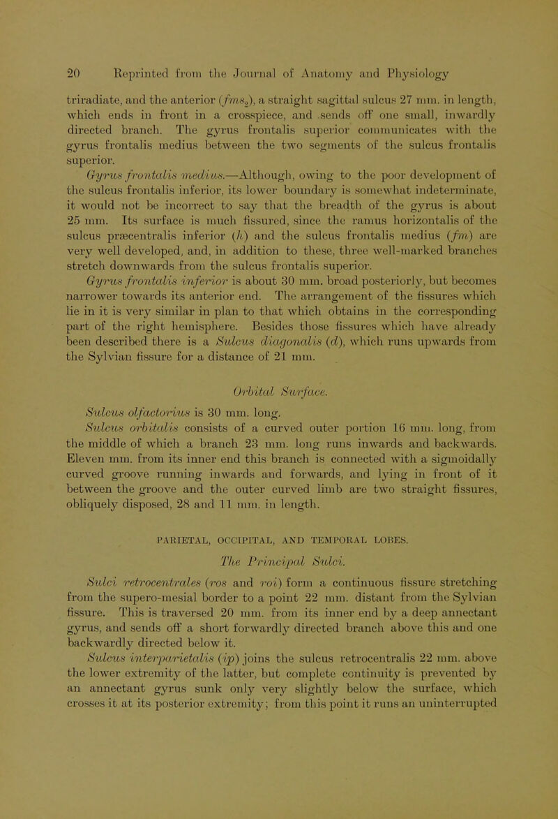 triradiate, and the anterior (fms2), a straight sagittal sulcus 27 mm. in length, which ends in front in a crosspiece, and .sends off one small, inwardly directed branch. The gyrus frontalis superior communicates with the gyrus frontalis medius between the two segments of the sulcus frontalis superior. Gyrus frontalis media#.—Although, owing to the poor development of the sulcus frontalis inferior, its lower boundary is somewhat indeterminate, it would not be incorrect to say that the breadth of the gyrus is about 25 mm. Its surface is much fissured, since the ramus horizontalis of the sulcus prsecentralis inferior (A) and the sulcus frontalis medius (fin) are very well developed, and, in addition to these, three well-marked branches stretch downwards from the sulcus frontalis superior. Gyrua frontalis inferior is about 30 mm. broad posteriorly, but becomes narrower towards its anterior end. The arrangement of the fissures which lie in it is very similar in plan to that which obtains in the corresponding part of the right hemisphere. Besides those fissures which have already been described there is a Sulcus diagonal is (d), which runs upwards from the Sylvian fissure for a distance of 21 mm. Orbital Surface. Sulcus olfactorius is 30 mm. long. Sulcus orbitalis consists of a curved outer portion 16 mm. long, from the middle of which a branch 23 mm. long runs inwards and backwards. Eleven mm. from its inner end this branch is connected with a sigmoidally curved groove running inwards aud forwards, and lying in front of it between the groove and the outer curved limb are two straight fissures, obliquely disposed, 28 and 11 mm. in length. PARIETAL, OCCIPITAL, AND TEMPORAL LOBES. The Principal Sulci. Sulci retrocentrales (ros and roi) form a continuous fissure stretching from the supero-mesial border to a point 22 mm. distant from the Sylvian fissure. This is traversed 20 mm. from its inner end by a deep annectant gyrus, and sends off a short forwardly directed branch above this and one backwardly directed below it. Sulcus interparietalis (ip) joins the sulcus retrocentralis 22 mm. above the lower extremity of the latter, but complete continuity is prevented by an annectant gyrus sunk only very slightly below the surface, which crosses it at its posterior extremity; from this point it runs an uninterrupted