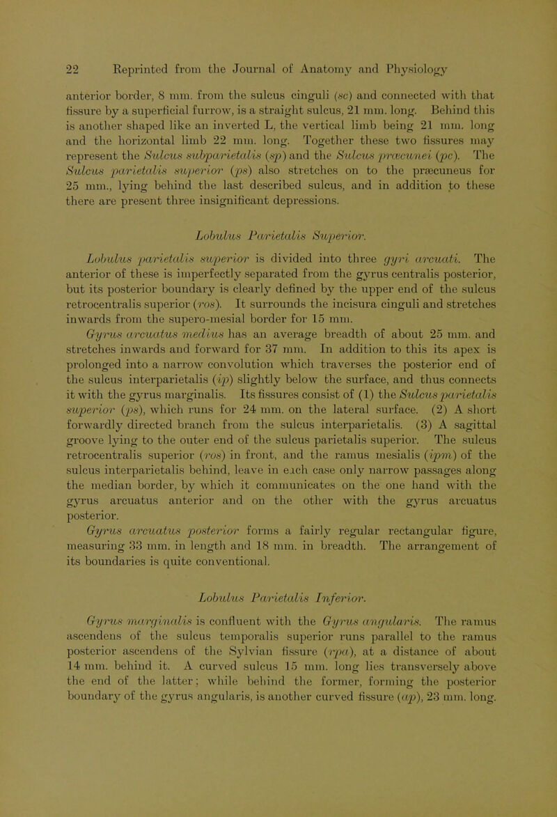anterior border, 8 mm. from the sulcus cinguli (sc) and connected with that fissure by a superficial furrow, is a straight sulcus, 21 mm. long. Behind this is another shaped like an inverted L, the vertical limb being 21 mm. long and the horizontal limb 22 mm. long. Together these two fissures may represent the Sulcus subparietalis (sp) and the Sulcus prcccunei (pc). The Sulcus parietalis superior (pps) also stretches on to the pnecuneus for 25 mm., lying behind the last described sulcus, and in addition to these there are present three insignificant depressions. Lobulus Parietalis Superior. Lobulus parietalis superior is divided into three gyri arcuati. The anterior of these is imperfectly separated from the gyrus centralis posterior, but its posterior boundary is clearly defined by the upper end of the sulcus retrocentralis superior (ms). It surrounds the incisura cinguli and stretches inwards from the supero-mesial border for 15 mm. Gyrus arcuatus medius has an average breadth of about 25 mm. and stretches inwards and forward for 37 mm. In addition to this its apex is prolonged into a narrow convolution which traverses the posterior end of the sulcus interparietalis (ip) slightly below the surface, and thus connects it with the gyrus marginalis. Its fissures consist of (1) the Sulcus parietalis superior (ps), which runs for 24 mm. on the lateral surface. (2) A short forwardly directed branch from the sulcus interparietalis. (3) A sagittal groove lying to the outer end of the sulcus parietalis superior. The sulcus retrocentralis superior (ros) in front, and the ramus mesialis (ipm) of the sulcus interparietalis behind, leave in each case only narrow passages along the median border, by which it communicates on the one hand with the gyrus arcuatus anterior and on the other with the gyrus arcuatus posterior. Gyrus arcuatus posterior forms a fairly regular rectangular figure, measuring 33 mm. in length and 18 mm. in breadth. The arrangement of its boundaries is quite conventional. Lobulus Parietalis Inferior. Gyrus marginalis is confluent with the Gyrus angularis. The ramus ascendens of the sulcus temporalis superior runs parallel to the ramus posterior ascendens of the Sylvian fissure (rpa), at a distance of about 14 mm. behind it. A curved sulcus 15 mm. long lies transversely above the end of the latter; while behind the former, forming the posterior boundary of the gyrus angularis, is another curved fissure (ap), 23 mm. long.