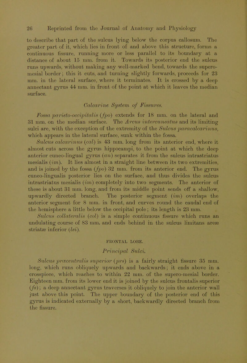 to describe that part of the sulcus lying below the corpus callosum. The greater part of it, which lies in front of and above this structure, forms a continuous fissure, running more or less parallel to its boundary at a distance of about 15 mm. from it. Towards its posterior end the sulcus runs upwards, without making any well-marked bend, towards the supero- mesial border; this it cuts, and turning slightly forwards, proceeds for 23 mm. in the lateral surface, where it terminates. It is crossed by a deep annectant gyrus 44 mm. in front of the point at which it leaves the median surface. Calcarine System of Fissures. Fossa parieto-occipitalis (fpo) extends for 18 mm. on the lateral and 31 mm. on the median surface. The Arcus intercuneatus and its limiting sulci are, with the exception of the extremity of the Sulcus paracalcarinus, which appears in the lateral surface, sunk within the fossa. Sulcus calcarinus (cal) is 43 mm. long from its anterior end, where it almost cuts across the gyrus hippocampi, to the point at which the deep anterior cuneo-lingual gyrus (cm) separates it from the sulcus intrastriatus mesialis (im). It lies almost in a straight line between its two extremities, and is joined by the fossa (fpo) 32 mm. from its anterior end. The gyrus cuneo-lingualis posterior lies on the surface, and thus divides the sulcus intrastriatus mesialis (im) completely into two segments. The anterior of these is about 31 mm. long, and from its middle point sends off a shallow, upwardly directed branch. The posterior segment (im) overlaps the anterior segment for 8 mm. in front, and curves round the caudal end of the hemisphere a little below the occipital pole; its length is 23 mm. Sulcus collateralis (col) is a simple continuous fissure which runs an undulating course of 83 mm. and ends behind in the sulcus limitans arese striatas inferior (Isi). FRONTAL LOBE. Principal Sulci. Sulcus prcecentralis superior (prs) is a fairly straight fissure 35 mm. long, which runs obliquely upwards and backwards; it ends above in a crosspiece, which reaches to within 22 mm. of the supero-mesial border. Eighteen mm. from its lower end it is joined by the sulcus frontalis superior (fs); a deep annectant gyrus traverses it obliquely to join the anterior wall just above this point. The upper boundary of the posterior end of this gyrus is indicated externally by a short, back ward ly directed branch from the fissure.
