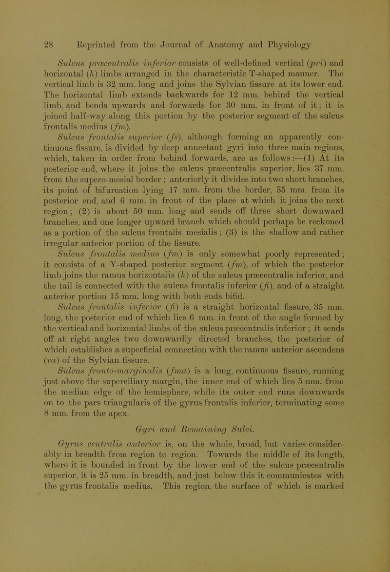 Sulcus prcvcentralis inferior consists of well-defined vertical (pri) and horizontal (/<.) limbs arranged in the characteristic T-shaped manner. The vertical limb is 32 mm. long and joins the Sylvian fissure at its lower end. The horizontal limb extends backwards for 12 mm. behind the vertical limb, and bends upwards and forwards for 30 mm. in front of it; it is joined half-way along this portion by the posterior segment of the sulcus frontalis medius (/m). Sulcus frontalis superior (fs), although forming an apparently con- tinuous fissure, is divided by deep annectant gyri into three main regions, which, taken in order from behind forwards, are as follows:—(1) At its posterior end, whei'e it joins the sulcus praecentralis superior, lies 37 mm. from the supero-mesial border ; anteriorly it divides into two short branches, its point of bifurcation lying 17 mm. from the border, 35 mm. from its posterior end, and 6 mm. in front of the place at which it joins the next region; (2) is about 50 mm. long and sends oft' three short downward branches, and one longer upward branch which should perhaps be reckoned as a portion of the sulcus frontalis mesialis ; (3) is the shallow and rather irregular anterior portion of the fissure. Sttlcus frontalis meclius (fm) is only somewhat poorly represented; it consists of a Y-shaped posterior segment (fm), of which the posterior limb joins the ramus horizontalis (h) of the sulcus praecentralis inferior, and the tail is connected with the sulcus frontalis inferior (Ji), and of a straight anterior portion 15 mm. long with both ends bifid. Sulcus frontalis inferior (Ji) is a straight horizontal fissure, 35 mm. long, the posterior end of which lies 6 mm. in front of the angle formed by the vertical and horizontal limbs of the sulcus praecentralis inferior ; it sends off at right angles two downwardly directed branches, the posterior of which establishes a superficial connection with the ramus anterior ascendens (ra) of the Sylvian fissure. Sulcus fronto-marginalis (fma) is a long, continuous fissure, running just above the superciliary mai'gin, the inner end of which lies 5 mm. from the median edge of the hemisphere, while its outer end runs downwards on to the pars triangularis of the gyrus frontalis inferior, terminating some 8 mm. from the apex. Gyri and Remaining Sulci. Gyms centralis anterior is, on the whole, broad, but varies consider- ably in breadth from region to region. Towards the middle of its length, where it is bounded in front by the lower end of the sulcus prfecentralis superior, it is 25 mm. in breadth, and just below this it communicates with the gyrus frontalis medius. This region, the surface of which is marked