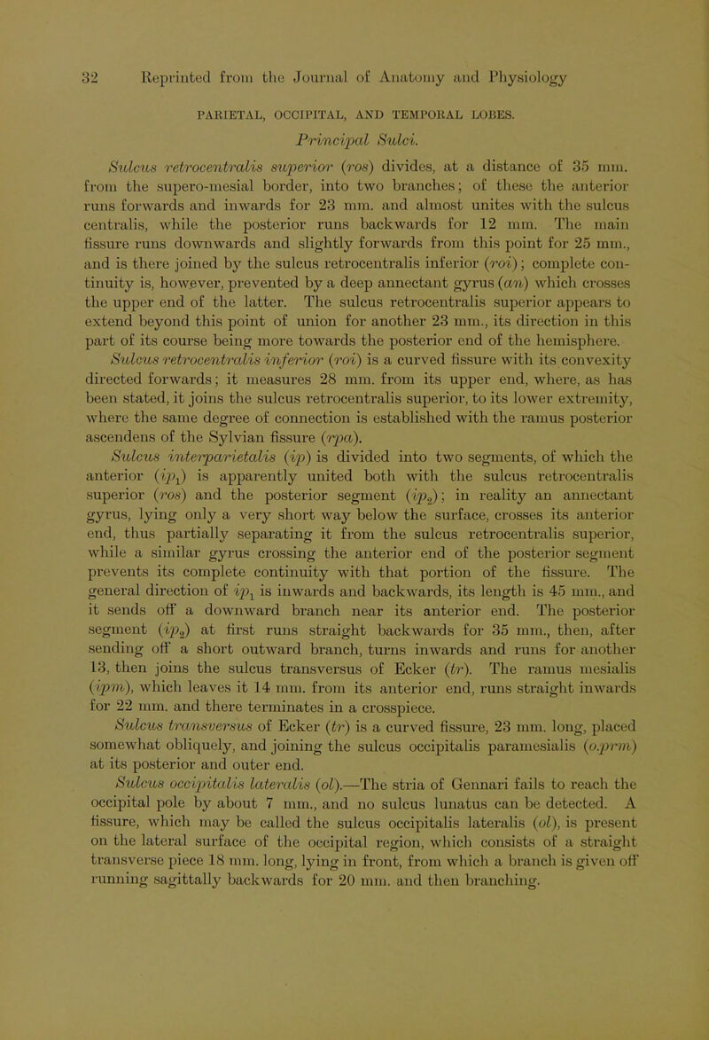 PARIETAL, OCCIPITAL, AND TEMPORAL LORES. Principal Sulci. Sulcus retrocentralis superior (ros) divides, at a distance of 35 mm. from the supero-mesial border, into two branches; of these the anterior runs forwards and inwards for 23 mm. and almost unites with the sulcus centralis, while the posterior runs backwards for 12 mm. The main fissure runs downwards and slightly forwards from this point for 25 mm., and is there joined by the sulcus retrocentralis inferior (roi); complete con- tinuity is, however, prevented by a deep annectant gyrus (an) which crosses the upper end of the latter. The sulcus retrocentralis superior appears to extend beyond this point of union for another 23 mm., its direction in this part of its course being more towards the posterior end of the hemisphere. Sulcus retrocentralis inferior (roi) is a curved fissure with its convexity directed forwards; it measures 28 mm. from its upper end, where, as has been stated, it joins the sulcus retrocentralis superior, to its lower extremity, where the same degree of connection is established with the ramus posterior ascendens of the Sylvian fissure (rpa). Sulcus interparietalis (ip) is divided into two segments, of which the anterior (ipf) is apparently united both with the sulcus retrocentralis superior (ros) and the posterior segment (ip2); in reality an annectant gyrus, lying only a very short way below the surface, crosses its anterior end, thus partially separating it from the sulcus retrocentralis superior, while a similar gyrus crossing the anterior end of the posterior segment prevents its complete continuity with that portion of the fissure. The general direction of ipx is inwards and backwards, its length is 45 mm., and it sends off a downward branch near its anterior end. The posterior segment (ip2) at first runs straight backwards for 35 mm., then, after sending off a short outward branch, turns inwards and runs for another L3, then joins the sulcus transversus of Ecker (tr). The ramus mesialis (ipm), which leaves it 14 mm. from its anterior end, runs straight inwards for 22 mm. and there terminates in a crosspiece. Sulcus transversus of Ecker (tr) is a curved fissure, 23 mm. long, placed somewhat obliquely, and joining the sulcus occipitalis paramesialis (o.prm) at its posterior and outer end. Sulcus occipitalis lateralis (ol).—The stria of Gennari fails to reach the occipital pole by about 7 mm., and no sulcus lunatus can be detected. A fissure, which may be called the sulcus occipitalis lateralis (ol), is present on the lateral surface of the occipital region, which consists of a straight transverse piece 18 mm. long, lying in front, from which a branch is given off running sagittally backwards for 20 mm. and then branching.