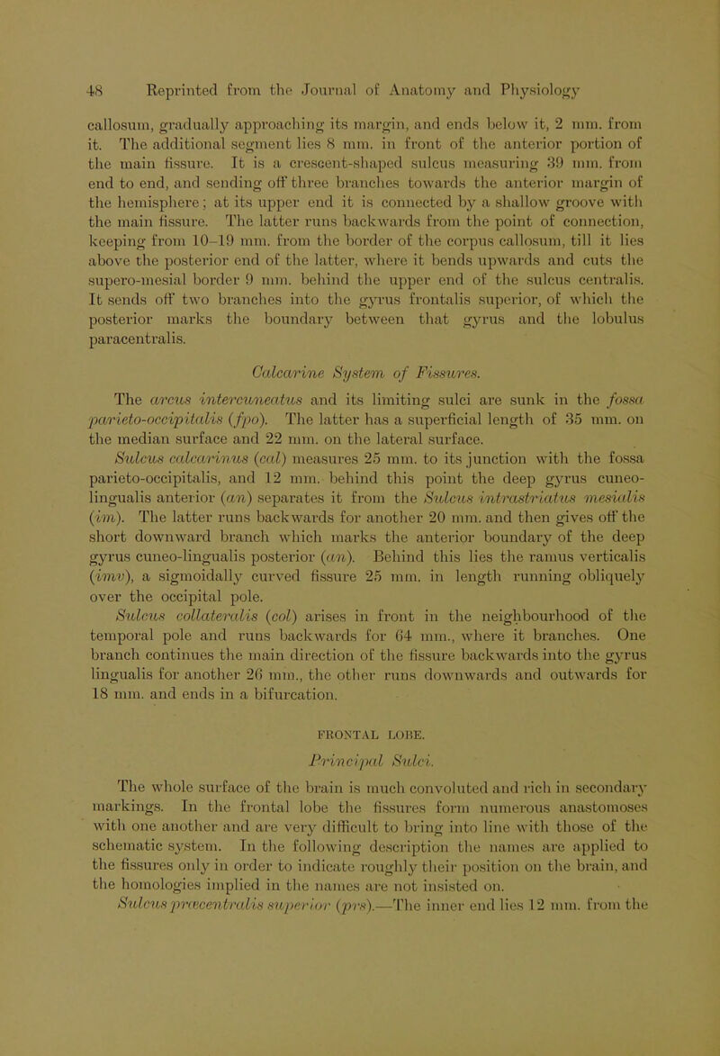 callosum, gradually approaching its margin, and ends below it, 2 mm. from it. The additional segment lies 8 mm. in front of the anterior portion of the main fissure. It is a cresGent-shaped sulcus measuring 89 mm. from end to end, and sending off three branches towards the anterior margin of the hemisphere; at its upper end it is connected by a shallow groove with the main fissure. The latter runs backwards from the point of connection, keeping from 10-19 mm. from the border of the corpus callosum, till it lies above the posterior end of the latter, where it bends upwards and cuts the supero-mesial border 9 mm. behind the upper end of the sulcus centralis. It sends off two branches into the gyrus frontalis superior, of which the posterior marks the boundary between that gyrus and the lobulus paracentral is. Calcarine System of Fissures. The arcus inter cuncatus and its limiting sulci are sunk in the fossa parieto-occipitalis (fpo). The latter has a superficial length of 35 mm. on the median surface and 22 mm. on the lateral surface. Sulcus calcarinus (cal) measures 25 mm. to its junction with the fossa parieto-occipitalis, and 12 mm. behind this point the deep gyrus cuneo- lingualis anterior (an) separates it from the Sulcus intrastriatus mesialis (im). The latter runs backwards for another 20 mm. and then gives off the short downward branch which marks the anterior boundary of the deep gyrus cuneo-lingualis posterior (an). Behind this lies the ramus verticalis (imv), a sigmoidally curved fissure 25 mm. in length running obliquely over the occipital pole. Sulcus collaterals (col) arises in front in the neighbourhood of the temporal pole and runs backwards for 64 mm., where it branches. One branch continues the main direction of the fissure backwards into the gyrus lingualis for another 26 mm., the other runs downwards and outwards for 18 mm. and ends in a bifurcation. FRONTAL LOBE. Principal Sulci. The whole surface of the brain is much convoluted and rich in secondary markings. In the frontal lobe the fissures form numerous anastomoses with one another and are very difficult to bring into line with those of the schematic system. In the following description the names are applied to the fissures only in order to indicate roughly their position on the brain, and the homologies implied in the names are not insisted on. Sulcusprcecentralis superior (prs).—The inner end lies 12 mm. from the