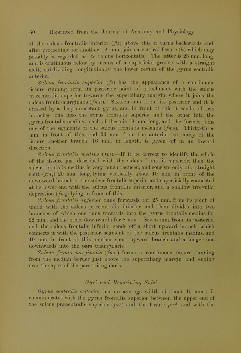 of the sulcus frontralis inferior (fi); above this it turns backwards and, after proceeding for another 12 mm., joins a vertical fissure (k) which may possibly be regarded as its ramus horizontalis. The latter is 28 mm. long, and is continuous below by means of a superficial groove with a straight cleft, subdividing longitudinally the lower region of the gyrus centralis anterior. Sulcus frontalis superior (fs) has the appearance of a continuous fissure running from its posterior point of attachment with the sulcus prsecentralis superior towards the superciliary margin, where it joins the sulcus fronto-marginalis (final). Sixteen mm. from its posterior end it is crossed by a deep annectant gyrus, and in front of this it sends off two branches, one into the gyrus frontalis superior and the other into the gyrus frontalis medius; each of these is 19 mm. long, and the former joins one of the segments of the sulcus frontalis mesialis (fins). Thirty-three mm. in front of this, and 23 mm. from the anterior extremity of the fissure, another branch, 16 mm. in length, is given off in an inward direction. Sulcus frontalis medius (fin).—-If it be correct to identify the whole of the fissure just described with the sulcus frontalis superior, then the sulcus frontalis medius is very much reduced, and consists only of a straight cleft (finf) 20 mm. long, lying vertically about 10 mm. in front of the downward branch of the sulcus frontalis superior and superficially connected at its lower end with the sulcus frontalis inferior, and a shallow irregular depression (fmf) lying in front of this. Sulcus frontalis inferior runs forwards for 25 mm. from its point of union with the sulcus prsecentralis inferior and then divides into two branches, of which one runs upwards into the gyrus frontalis medius for 22 mm., and the other downwards for 8 mm. Seven mm. from its posterior end the sulcus frontalis inferior sends off a short upward branch which connects it with the posterior segment of the sulcus frontalis medius, and 10 mm. in front of this another short upward branch and a longer one downwards into the pars triangularis. Sulcus fronto-marginalis (fina) forms a continuous fissure running from the median border just above the superciliary margin and ending near the apex of the pars triangularis. Gyri and Remaining Sulci. Gyrus centralis anterior has an average width of about 15 mm.; it communicates with the gyrus frontalis superior between the upper end of the sulcus pnecentralis superior (prs) and the fissure prs1, and with the