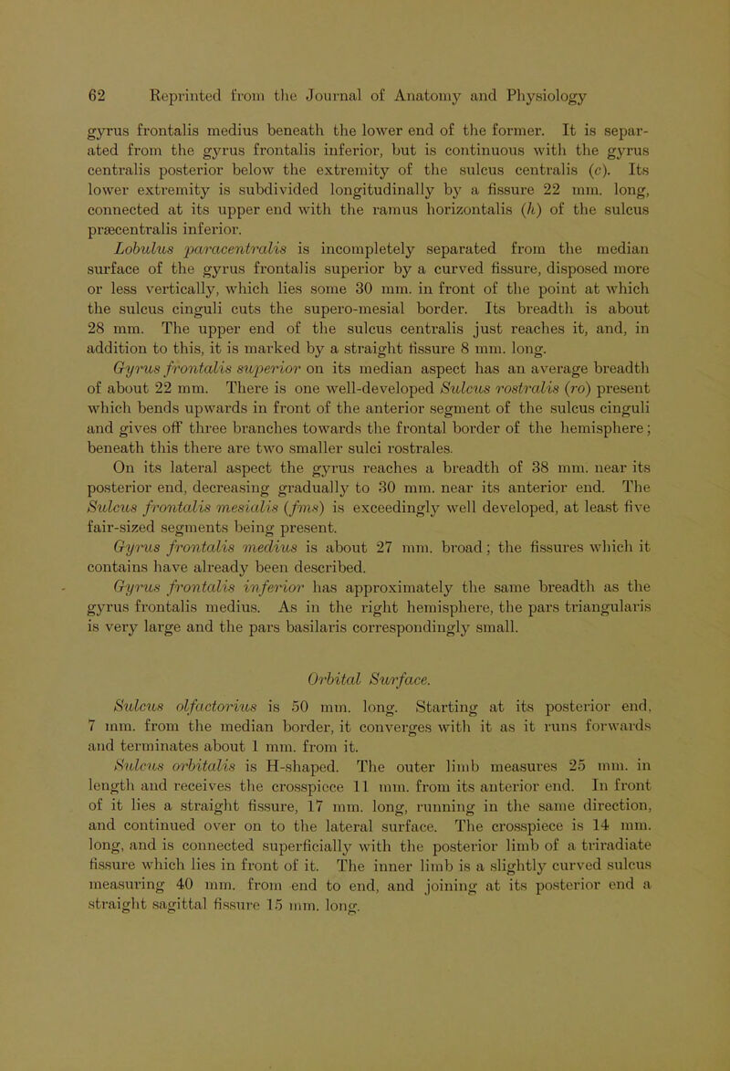 gyrus frontalis medius beneath the lower end of the former. It is separ- ated from the gyrus frontalis inferior, but is continuous with the gyrus centralis posterior below the extremity of the sulcus centralis (c). Its lower extremity is subdivided longitudinally by a fissure 22 mm. long, connected at its upper end with the ramus horizontalis (h) of the sulcus prmcentralis inferior. Lobulus paracentralis is incompletely separated from the median surface of the gyrus frontalis superior by a curved fissure, disposed more or less vertically, which lies some 30 mm. in front of the point at which the sulcus cinguli cuts the supero-mesial border. Its breadth is about 28 mm. The upper end of the sulcus centralis just reaches it, and, in addition to this, it is marked by a straight fissure 8 mm. long. Gyrus frontalis superior on its median aspect has an average breadth of about 22 mm. There is one well-developed Sulcus rostrcilis (ro) present which bends upwards in front of the anterior segment of the sulcus cinguli and gives off three branches towards the frontal border of the hemisphere; beneath this there are two smaller sulci rostrales. On its lateral aspect the gyrus reaches a breadth of 38 mm. near its posterior end, deci'easing gradually to 30 mm. near its anterior end. The Sulcus frontalis mesialis (fins) is exceedingly well developed, at least five fair-sized segments being present. Gyrus frontalis ineclius is about 27 mm. broad; the fissures which it contains have already been described. Gyrus frontalis inferior has approximately the same breadth as the gyrus frontalis medius. As in the right hemisphere, the pars triangularis is very large and the pars basilaris correspondingly small. Orbital Surface. Sulcus olfactorius is 50 mm. long. Starting at its posterior end. 7 mm. from the median border, it converges with it as it runs forwards and terminates about 1 mm. from it. Sulcus orbitalis is H-shaped. The outer limb measures 25 mm. in length and receives the crosspiece 11 mm. from its anterior end. In front of it lies a straight fissure, 17 mm. long, running in the same direction, and continued over on to the lateral surface. The crosspiece is 14 mm. long, and is connected superficially with the posterior limb of a triradiate fissure which lies in front of it. The inner limb is a slightly curved sulcus measuring 40 mm. from end to end, and joining at its posterior end a straight sagittal fissure 15 mm. long.