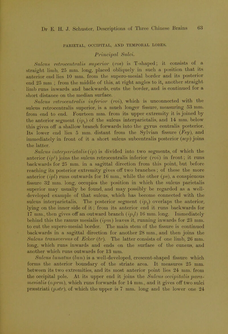 PARIETAL, OCCIPITAL, AND TEMPORAL LOBES. Principal Sulci. Sulcus retrocentralis superior ip vs) is T-shaped; it consists of a straight limb, 25 mm. long, placed obliquely in such a position that its anterior end lies 10 mm. from the supero-mesial border and its posterior end 25 mm ; from the middle of this, at right angles to it, another straight limb runs inwards and backwards, cuts the border, and is continued for a short distance on the median surface. Sulcus retrocentralis inferior {roi), which is unconnected with the sulcus retrocentralis superior, is a much longer fissure, measuring 53 mm. from end to end. Fourteen mm. from its upper extremity it is joined by the anterior segment {ipf of the sulcus interparietalis, and 14 mm. below this gives off a shallow branch forwards into the gyrus centralis posterior. Its lower end lies 5 mm. distant from the Sylvian fissure {Fsy), and immediately in front of it a short sulcus subcentralis posterior (scp) joins the latter. Sulcus interparietalis {ip) is divided into two segments, of which the anterior {ip1) joins the sulcus retrocentralis inferior {roi) in front; it runs backwards for 25 mm. in a sagittal direction from this point, but before reaching its posterior extremity gives off two branches ; of these the more anterior {ipl) runs outwards for 16 mm., while the other {ps), a conspicuous fissure 32 mm. long, occupies the position in which the sulcus parietalis superior may usually be found, and may possibly be regarded as a well- developed example of that sulcus, which has become connected with the sulcus interparietalis. The posterior segment (ip2) overlaps the anterior, lying on the inner side of it; from its anterior end it runs backwards for 17 mm., then gives off an outward branch {ip2l) 16 mm. long. Immediately behind this the ramus mesialis (ipm) leaves it, running inwards for 23 mm. to cut the supero-mesial border. The main stein of the fissure is continued backwards in a sagittal direction for another 28 mm., and then joins the Sulcus transversus of Ecker (tr). The latter consists of one limb, 26 mm. long, which runs inwards and ends on the surface of the cuneus, and another which runs outwards for 13 mm. Sulcus lunatus {hen) is a well-developed, crescent-shaped fissure which forms the anterior boundary of the striate area. It measures 25 mm. between its two extremities, and its most anterior point lies 24 mm. from the occipital pole. At its upper end it joins the Sulcus occipitalis para- mesialis {o.prm), which runs forwards for 14 mm., and it gives off two sulci pnestriati (p.str), of which the upper is 7 mm. long and the lower one 24