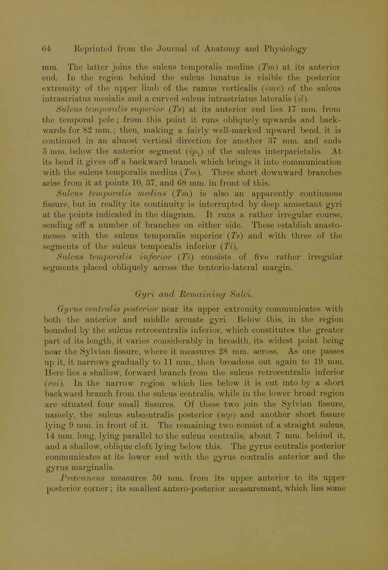 mm. The latter joins the sulcus temporalis medius (Tm) at its anterior end. In the region behind the sulcus lunatus is visible the posterior extremity of the upper limb of the ramus verticalis (imv) of the sulcus intrastriatus mesialis and a curved sulcus intrastriatus lateralis (il). Sulcus temporalis superior (Ts) at its anterior end lies 17 mm. from the temporal pole ; from this point it runs obliquely upwards and back- wards for 82 mm.; then, making a fairly well-marked upward bend, it is continued in an almost vertical direction for another 37 mm. and ends 5 mm. below the anterior segment (ipf) of the sulcus interparietal is. At its bend it gives off a backward branch which brings it into communication with the sulcus temporalis medius (Tm). Three short downward branches arise from it at points 10, 37, and 68 mm. in front of this. Sulcus temporalis medius (Tm) is also an apparently continuous fissure, but in reality its continuity is interrupted by deep annectant gyri at the points indicated in the diagram. It runs a rather irregular course, sending oft' a number of branches on either side. These establish anasto- moses with the sulcus temporalis superior (Ts) and with three of the segments of the sulcus temporalis inferior (Ti). Sulcits temporalis inferior (Ti) consists of five rather irregular segments placed obliquely across the tentorio-lateral margin. Gyri and Remaining Sidci. Gyrus centralis posterior near its upper extremity communicates with both the anterior and middle arcuate gyri. Below this, in the region bounded by the sulcus retrocentralis inferior, which constitutes the greater part of its length, it varies considerably in breadth, its widest point being near the Sylvian fissure, where it measures 28 mm. across. As one passes up it, it narrows gradually to 11 mm., then broadens out again to 19 mm. Here lies a shallow, forward branch from the sulcus retrocentralis inferior (roi). In the narrow region which lies below it is cut into by a short backward branch from the sulcus centralis, while in the lower broad region are situated four small fissures. Of these two join the Sylvian fissure, namely, the sulcus subcentralis posterior (scp) and another short fissure lying 9 mm. in front of it. The remaining two consist of a straight sulcus, 14 mm. long, lying parallel to the sulcus centralis, about 7 mm. behind it, and a shallow, oblique cleft lying below this. The gyrus centralis posterior communicates at its lower end with the gyrus centralis anterior and the gyrus marginalis. Prcecuneus measures 50 mm. from its upper anterior to its upper posterior corner ; its smallest antero-posterior measurement, which lies some