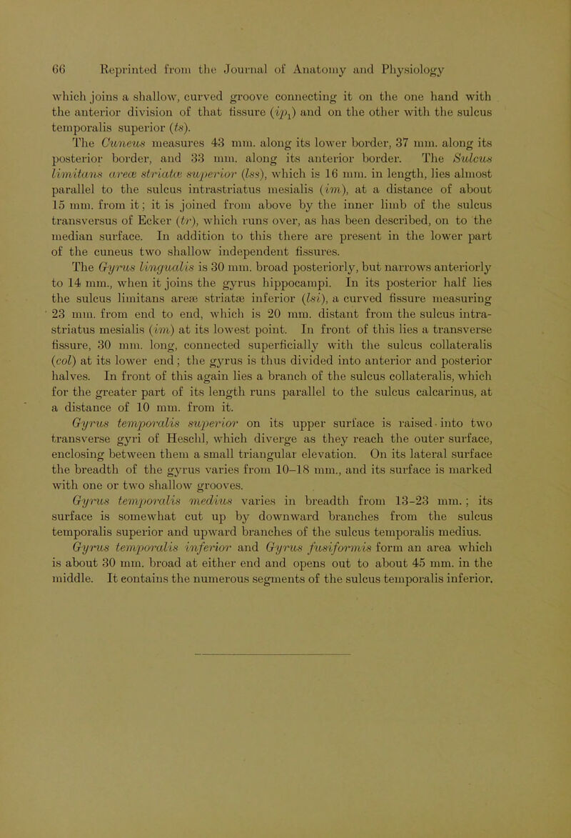 which joins a shallow, curved groove connecting it on the one hand with the anterior division of that fissure (ipf) and on the other with the sulcus temporalis superior (ts). The Cuneus measures 43 mm. along its lower border, 37 mm. along its posterior border, and 33 mm. along its anterior border. The Sulcus limitans arece striated superior (Iss), which is 16 mm. in length, lies almost parallel to the sulcus intrastriatus mesialis (im), at a distance of about 15 mm. from it; it is joined from above by the inner limb of the sulcus transversus of Ecker (tr), which runs over, as has been described, on to the median surface. In addition to this there are present in the lower part of the cuneus two shallow independent fissures. The Gyrus lingualis is 30 mm. broad posteriorly, but narrows anteriorly to 14 mm., when it joins the gyrus hippocampi. In its posterior half lies the sulcus limitans are® striatae inferior (Isi), a curved fissure measuring 23 mm. from end to end, which is 20 mm. distant from the sulcus intra- striatus mesialis (im) at its lowest point. In front of this lies a transverse fissure, 30 mm. long, connected superficially with the sulcus collateralis (col) at its lower end; the gyrus is thus divided into anterior and posterior halves. In front of this again lies a branch of the sulcus collateralis, which for the greater part of its length runs parallel to the sulcus calcarinus, at a distance of 10 mm. from it. Gyrus temporalis superior on its upper surface is raised • into two transverse gyri of Heschl, which diverge as they reach the outer surface, enclosing between them a small triangular elevation. On its lateral surface the breadth of the gyrus varies from 10-18 mm., and its surface is marked with one or two shallow grooves. Gyrus temporalis medius varies in breadth from 13-23 mm. : its surface is somewhat cut up by downward branches from the sulcus temporalis superior and upward branches of the sulcus temporalis medius. Gyrus temporalis inferior and Gyrus fusiformis form an area which is about 30 mm. broad at either end and opens out to about 45 mm. in the middle. It contains the numerous segments of the sulcus temporalis inferior.