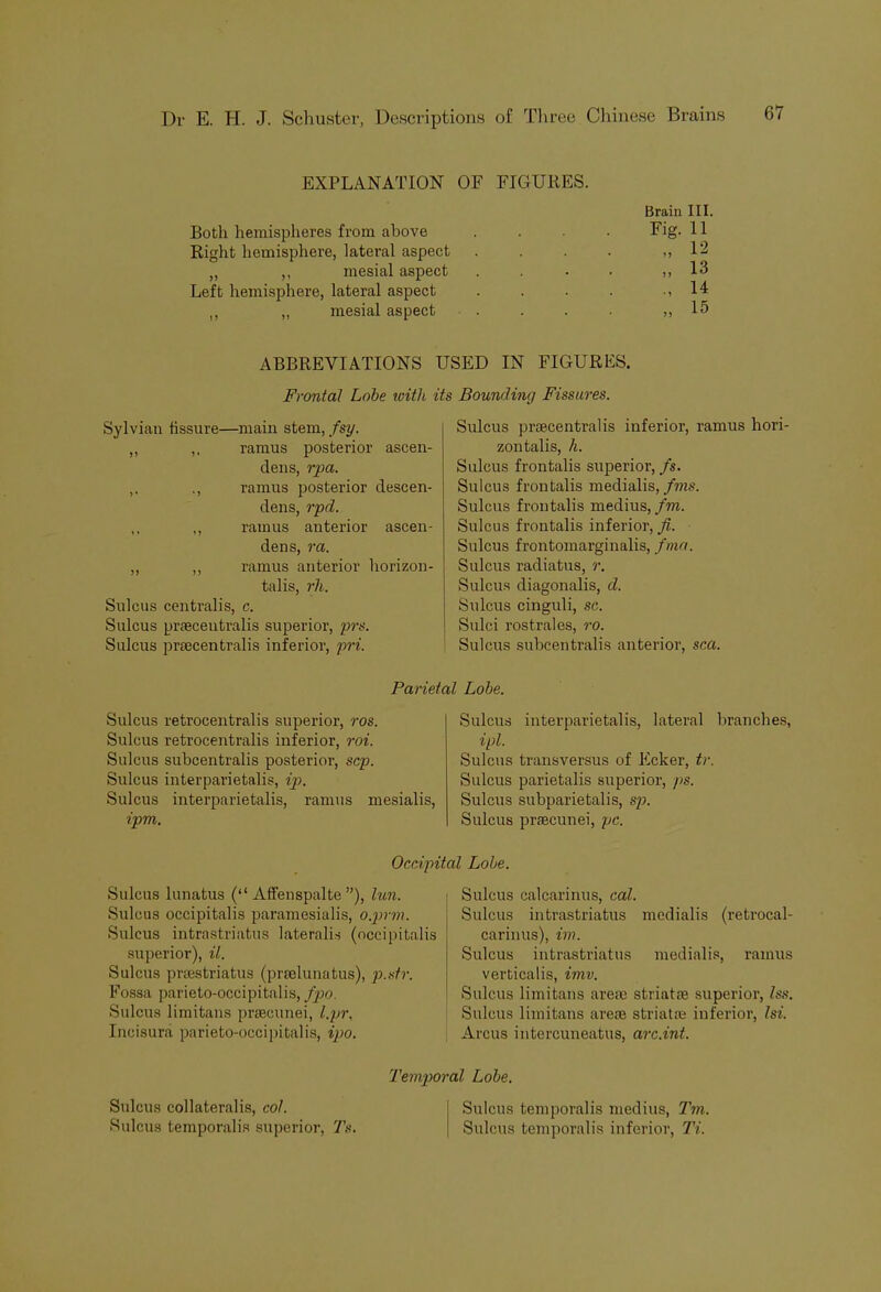 EXPLANATION OF FIGURES. Brain III. Both hemispheres from above . Fig. 11 Right hemisphere, lateral aspect .... > J 12 „ ,, mesial aspect . > > 13 Left hemisphere, lateral aspect . . . . • 1 14 ,, ,, mesial aspect n 15 ABBREVIATIONS USED IN FIGURES. Frontal Lobe with its Bounding Fissures. Sylvian fissure—main stem, fsy. ,, ,, ramus posterior ascen- dens, rpa. ,, ramus posterior descen- dens, rpd. ,, ,, ramus anterior ascen- dens, ra. „ ,, ramus anterior horizon- tal is, rh. Sulcus centralis, c. Sulcus praecentralis superior, prs. Sulcus praecentralis inferior, pri. Sulcus praecentralis inferior, ramus hori- zontalis, h. Sulcus frontalis superior, fs. Sulcus frontalis medialis, fms. Sulcus frontalis medius, fm. Sulcus frontalis inferior, ft. Sulcus frontomarginalis, fma. Sulcus radiatus, r. Sulcus diagonalis, d. Sulcus cinguli, sc. Sulci rostrales, ro. Sulcus subcentralis anterior, sea. Parietal Lobe. Sulcus retrocentralis superior, ros. Sulcus retrocentralis inferior, roi. Sulcus subcentralis posterior, scp. Sulcus interparietalis, ip>. Sulcus interparietalis, ramus mesialis, ipm. Sulcus interparietalis, lateral brandies, ipl. Sulcus transversus of Ecker, tr. Sulcus parietalis superior, ps. Sulcus subparietalis, sp. Sulcus praecunei, pc. Occipital Lobe. Sulcus lunatus (“ Affenspalte ”), lun. Sulcus occipitalis paramesialis, o.prm. Sulcus intrastriatus lateralis (occipitalis superior), il. Sulcus prsestriatus (praelunatus), p.str. Fossa parieto-occipitalis, fpo. Sulcus limitans praecunei, l.pr. Incisura parieto-occipitalis, ipo. Sulcus calcarinus, cal. Sulcus intrastriatus medialis (retrocal- carinus), im. Sulcus intrastriatus medialis, ramus verticalis, imv. Sulcus limitans areae striatse superior, Iss. Sulcus limitans areae striata; inferior, 1st. Arcus intercuneatus, arc.int. Sulcus collaterals, col. Sulcus temporalis superior, Ts. Temporal Lobe. Sulcus temporalis medius, Tm. Sulcus temporalis inferior, Ti.