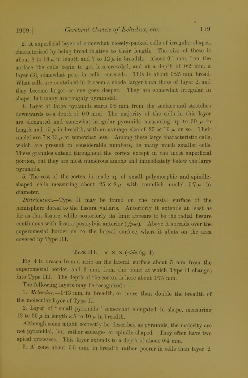 2. A superficial layer of somewhat closely-packed cells of irregular shapes, characterised by being broad relative to their length. The size of these is about 8 to 18 ja in length and 7 to 12 /jl in breadth. About 01 mm. from the surface the cells begin to get less crowded, and at a depth of 0'2 mm. a layer (3), somewhat poor in cells, succeeds. This is about 0'25 mm. broad. What cells are contained in it seem a shade larger than those of layer 2, and they become larger as one goes deeper. They are somewhat irregular in shape, but many are roughly pyramidal. 4. Layer of large pyramids starts 0-5 mm. from the surface and stretches downwards to a depth of 0'9 mm. The majority of the cells in this layer are elongated and somewhat irregular pyramids measuring up to 30 /a in length and 15 yu. in breadth, with an average size of 25 x 10 /a or so. Their nuclei are 7 x 13 /a or somewhat less. Among these large characteristic cells, which are present in considerable numbers, lie many much smaller cells. These granules extend throughout the cortex except in the most superficial portion, but they are most numerous among and immediately below the large pyramids. 5. The rest of the cortex is made up of small polymorphic and spindle- shaped cells measuring about 25 x 8 /a, with roundish nuclei 5‘7 /a in diameter. Distribution.—Type II may be found on the mesial surface of the hemisphere dorsal to the fissura vallaris. Anteriorly it extends at least as far as that fissure, while posteriorly its limit appears to be the radial fissure continuous with fissura postsylvia anterior (fpsa). Above it spreads over the superomesial border on to the lateral surface, where it abuts on the area covered by Type III. Type III. x x x {vide fig. 4). Fig. 4 is drawn from a strip on the lateral surface about 5 mm. from the superomesial border, and 3 mm. from the point at which Type II changes into Type III. The depth of the cortex is here about 1*75 mm. The following layers may be recognised : — 1. Molecular.—0T3 mm. in breadth, or more than double the breadth of the molecular layer of Type II. 2. Layer of “ small pyramids ” somewhat elongated in shape, measuring 12 to 30 /a in length x 5 to 10 /a in breadth. Although some might correctly be described as pyramids, the majority are not pyramidal, but rather sausage- or spindle-shaped. They often have two apical processes. This layer extends to a depth of about 0'4 mm. o. A zone about 0'5 mm. in breadth rather poorer in cells than layer 2.