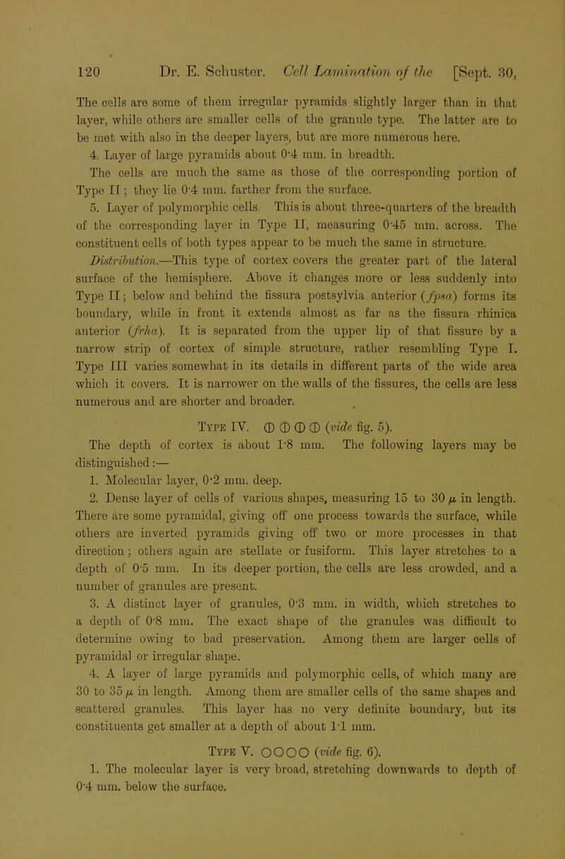 The cells are some of them irregular pyramids slightly larger than in that layer, while others are smaller cells of the granule type. The latter are to be met with also in the deeper layers, but are more numerous here. 4. Layer of large pyramids about 0'4 mm. in breadth. The cells are much the same as those of the corresponding portion of Type II; they lie 0-4 mm. farther from the surface. 5. Layer of polymorphic cells. This is about three-quarters of the breadth of the corresponding layer in Type II, measuring 0'45 mm. across. The constituent cells of both types appear to be much the same in structure. Distribution.—This type of cortex covers the greater part of the lateral surface of the hemisphere. Above it changes more or less suddenly into Type II; below and behind the fissura postsylvia anterior (fysci) forms its boundary, while in front it extends almost as far as the fissura rhinica anterior (frha). It is separated from the upper lip of that fissure by a narrow strip of cortex of simple structure, rather resembling Type I. Type III varies somewhat in its details in different parts of the wide area which it covers. It is narrower on the walls of the fissures, the cells are less numerous and are shorter and broader. Type IV. © CD © (D (vide fig. 5). The depth of cortex is about 1‘8 mm. The following layers may be distinguished:— 1. Molecular layer, 0-2 mm. deep. 2. Dense layer of cells of various shapes, measuring 15 to 30 ^ in length. There are some pyramidal, giving off one process towards the surface, while others are inverted pyramids giving off two or more processes in that direction; others again are stellate or fusiform. This layer stretches to a depth of 0'5 mm. In its deeper portion, the cells are less crowded, and a number of granules are present. 3. A distinct layer of granules, 043 mm. in width, which stretches to a depth of 0‘8 mm. The exact shape of the granules was difficult to determine owing to bad preservation. Among them are larger cells of pyramidal or irregular shape. 4. A layer of large pyramids and polymorphic cells, of which many are 30 to 35 [jb in length. Among them are smaller cells of the same shapes and scattered granules. This layer has no very definite boundary, but its constituents get smaller at a depth of about 1-1 mm. Type V. OOOO (vide fig. 6). 1. The molecular layer is very broad, stretching downwards to depth of 0-4 mm. below the surface,