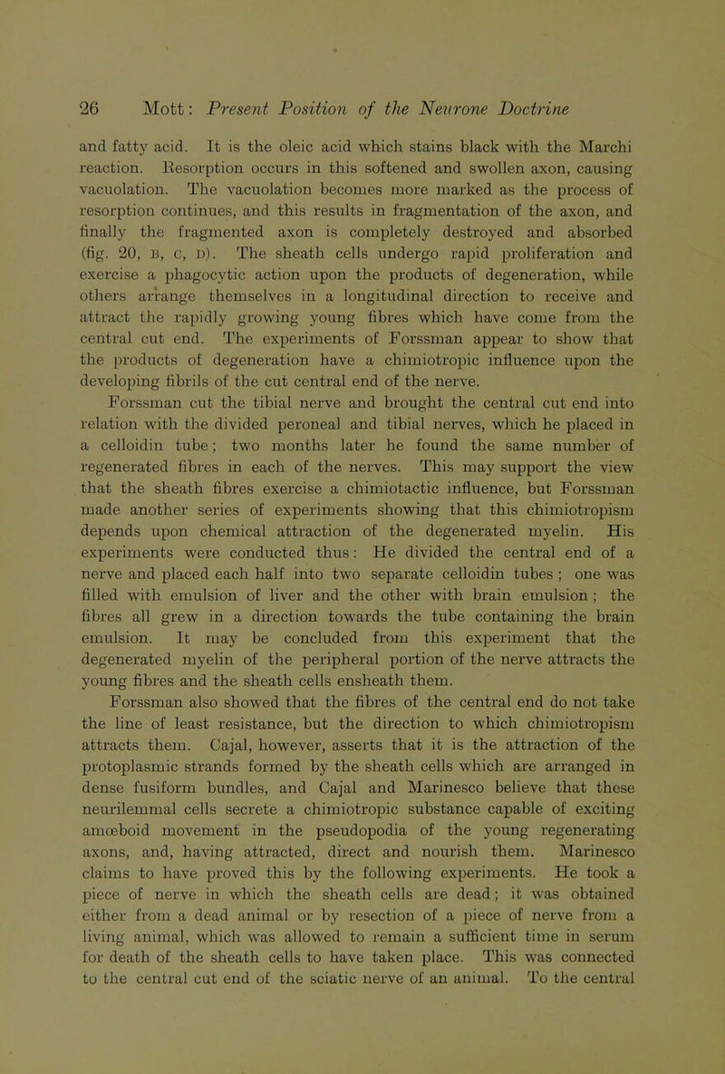 and fatty acid. It is the oleic acid which stains black with the Marchi reaction. Resorption occurs in this softened and swollen axon, causing vacuolation. The vacuolation becomes more marked as the process of resorption continues, and this results in fragmentation of the axon, and finally the fragmented axon is completely destroyed and absorbed (fig. 20, B, c, d). The sheath cells undergo rapid proliferation and exercise a phagocytic action upon the products of degeneration, while others arrange themselves in a longitudinal direction to receive and attract the rapidly growing young fibres which have come from the central cut end. The experiments of Forssman appear to show that the products of degeneration have a chimiotropic influence upon the developing fibrils of the cut central end of the nerve. Forssman cut the tibial nerve and brought the central cut end into relation with the divided peroneal and tibial nerves, which he placed in a celloidin tube; two months later he found the same number of regenerated fibres in each of the nerves. This may support the view that the sheath fibres exercise a chimiotactic influence, but Forssman made another series of experiments showing that this chimiotropism depends upon chemical attraction of the degenerated myelin. His experiments were conducted thus: He divided the central end of a nerve and placed each half into two separate celloidin tubes ; one was filled with emulsion of liver and the other with brain emulsion ; the fibres all grew in a direction towards the tube containing the brain emulsion. It may be concluded from this experiment that the degenerated myelin of the peripheral portion of the nerve attracts the young fibres and the sheath cells ensheath them. Forssman also showed that the fibres of the central end do not take the line of least resistance, but the direction to which chimiotropism attracts them. Cajal, however, asserts that it is the attraction of the protoplasmic strands formed by the sheath cells which are arranged in dense fusiform bundles, and Cajal and Marinesco believe that these neurilemmal cells secrete a chimiotropic substance capable of exciting amoeboid movement in the pseudopodia of the young regenerating axons, and, having attracted, direct and nourish them. Marinesco claims to have proved this by the following experiments. He took a piece of nerve in which the sheath cells are dead; it was obtained either from a dead animal or by resection of a piece of nerve from a living animal, which was allowed to remain a sufficient time in serum for death of the sheath cells to have taken place. This was connected to the central cut end of the sciatic nerve of an animal. To the central