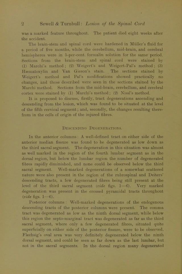 digitised image 2
