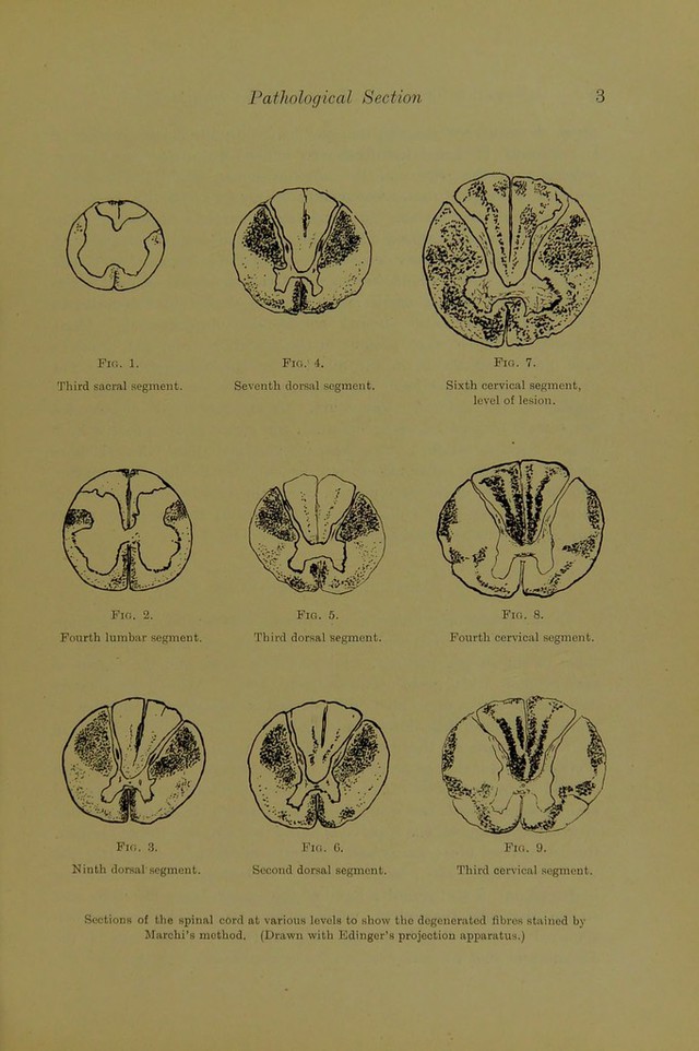 digitised image 3