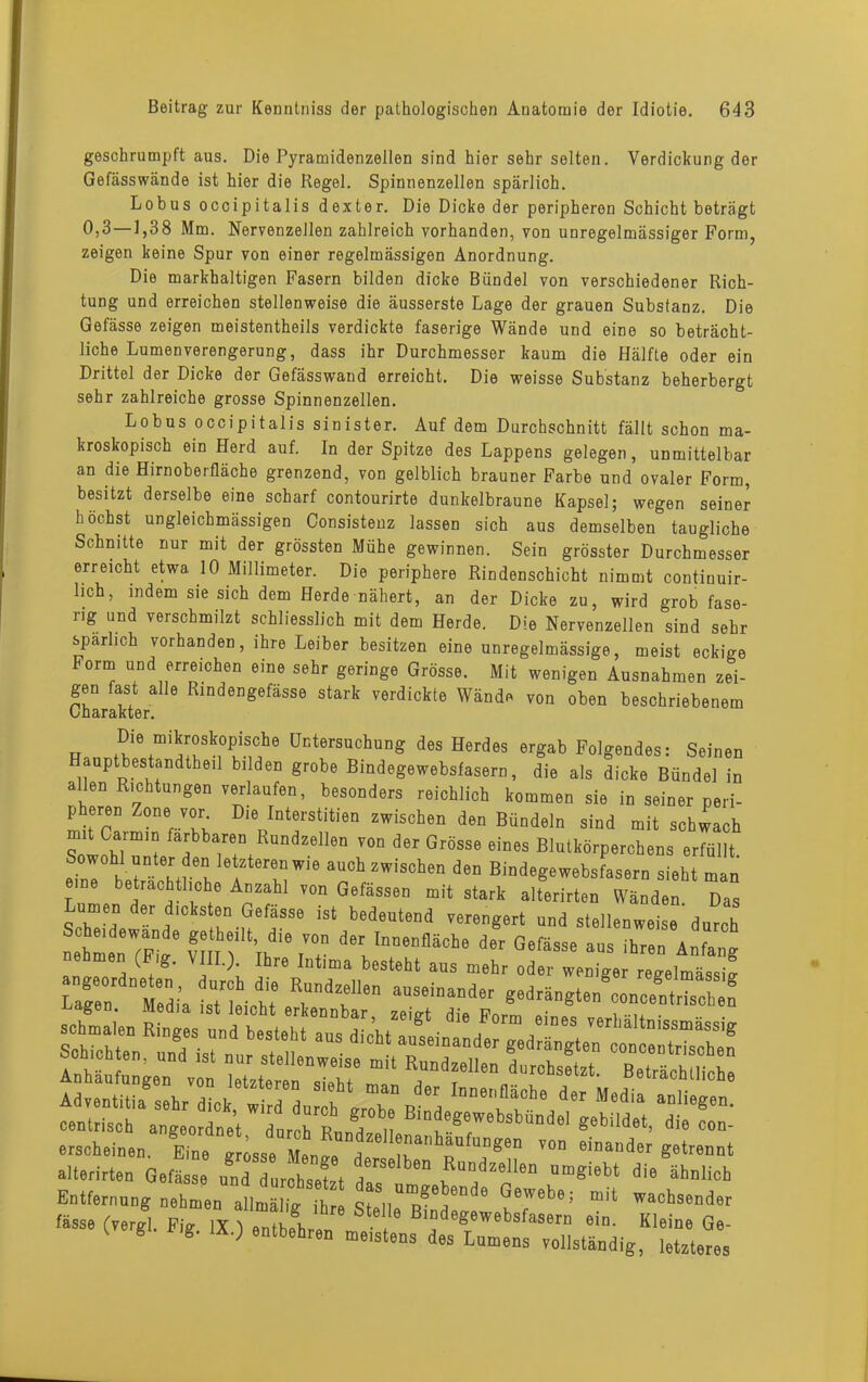 geschrumpft aus. Die Pyramidenzellen sind hier sehr selten. Verdickung der Gefässwände ist hier die Regel. Spinnenzellen spärlich. Lobus occipitalis dexter. Die Dicke der peripheren Schicht beträgt 0,3 — 1,38 Mm. Nervenzellen zahlreich vorhanden, von unregelmässiger Form, zeigen keine Spur von einer regelmässigen Anordnung. Die markhaltigen Fasern bilden dicke Bündel von verschiedener Rich- tung und erreichen stellenweise die äusserste Lage der grauen Substanz. Die Gefässe zeigen meistentheils verdickte faserige Wände und eine so beträcht- liche Lumenverengerung, dass ihr Durchmesser kaum die Hälfte oder ein Drittel der Dicke der Gefässwand erreicht. Die weisse Substanz beherbergt sehr zahlreiche grosse Spinnenzellen. Lobus occipitalis sinister. Auf dem Durchschnitt fällt schon ma- kroskopisch ein Herd auf. In der Spitze des Lappens gelegen, unmittelbar an die Hirnoberfläche grenzend, von gelblich brauner Farbe und ovaler Form, besitzt derselbe eine scharf contourirte dunkelbraune Kapsel; wegen seiner höchst ungleichmässigen Consistenz lassen sich aus demselben taugliche Schnitte nur mit der grössten Mühe gewinnen. Sein grösster Durchmesser erreicht etwa 10 Millimeter. Die periphere Rindenschicht nimmt contiuuir- lich, indem sie sich dem Herde nähert, an der Dicke zu, wird grob fase- rig und verschmilzt schliesslich mit dem Herde. Die Nervenzellen sind sehr spärlich vorhanden, ihre Leiber besitzen eine unregelmässige, meist eckige borm und erreichen eine sehr geringe Grösse. Mit wenigen Ausnahmen zei- gen fast alle Rindengefässe stark verdickte Wände von oben beschriebenem n fn1\miaTk,°PuTJhe üctersuchung des H^des ergab Folgendes: Seinen auptbestandtheil bilden grobe Bindegewebsfasern, die als dicke Bündel in allen Richtungen verlaufen, besonders reichlich kommen sie in seiner peri- p eren Zone vor Die Interstitien zwischen den Bündeln sind mit schwach SnlChimit fafbareD RundzeI1en von der Grösse eines Blutkörperchens erfüllt eZ' Ivl a' mWi6 aucbzwiscben den Bindegewebsfasern sieht man eine beträchtliche Anzahl von Gefässen mit stark alterirten Wänden Das ScTel a !n-uef!SSe ^ bedeutend verengert und stellenweise' durch ÄfiTii'ÄiSiXÄ sra. tas ssr erscheinen. ffinegrjeMen«”,''T' p'™ alterirten Gefässe und durchsetzt 1!?' .Ru”dze'l6n a“«i<lbt <>'> ähnlich Entfernung nehmen allmälitr ihre qr n 6 ^6webe; wachsender fasse (vergl. Fig IX ) entbehren B'f «gewebsfasern ein. Kleine Ge- * ? ; e“lb6hll>n meistens Lumens vollständig, letzteres