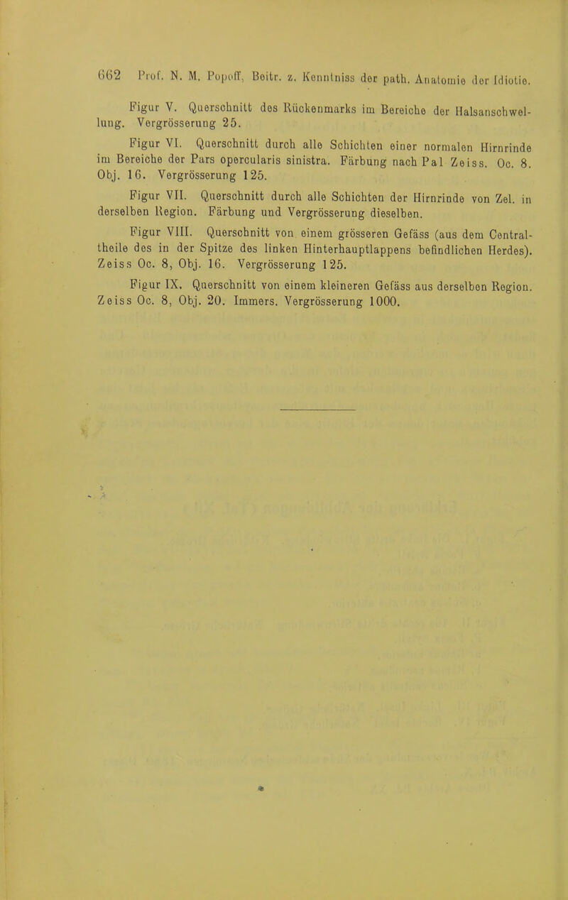 Figur V. Querschnitt dos Rückenmarks im Bereicho der Halsanschwol- luug. Vergrösserung 25. Figur VI. Querschnitt durch alle Schichten einer normalen Hirnrinde im Bereiche der Pars opercularis sinistra. Färbung nach Pal Zeiss. Oc. 8. Obj. 16. Vergrösserung 125. Figur VII. Querschnitt durch alle Schichten der Hirnrinde von Zel. in derselben Region. Färbung und Vergrösserung dieselben. Figur VIII. Querschnitt von einem grösseren Gefäss (aus dem Central- theile dos in der Spitze des linken Hinterhauptlappens befindlichen Herdes). Zeiss Oc. 8, Obj. 16. Vergrösserung 125. Figur IX. Querschnitt von einem kleineren Gefäss aus derselben Region. Zeiss Oc. 8, Obj. 20. Immers. Vergrösserung 1000.