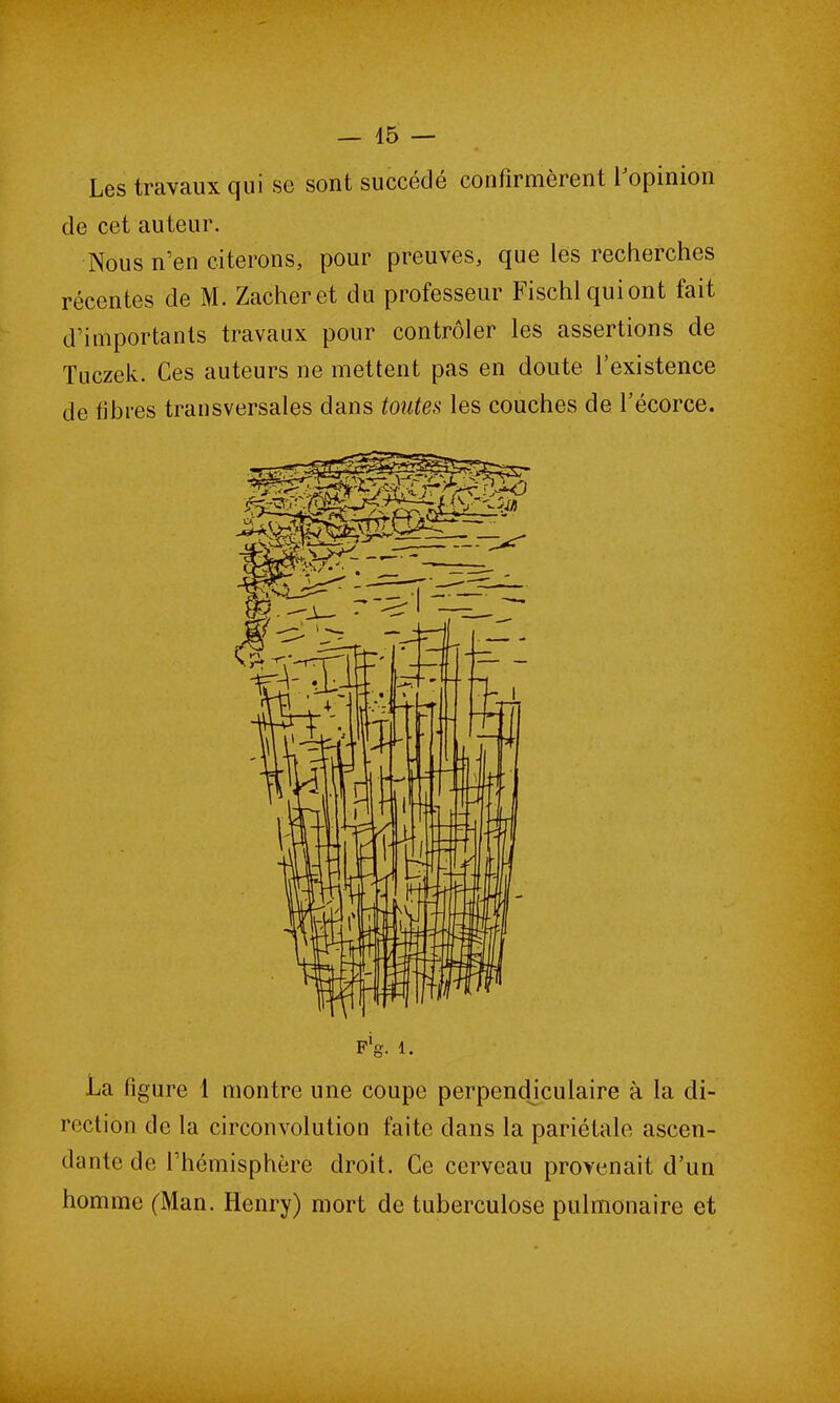 Les travaux qui se sont succédé confirmèrent l’opinion de cet auteur. Nous n’en citerons, pour preuves, que les recherches récentes de M. Zacheret du professeur Fischlquiont fait d’importants travaux pour contrôler les assertions de Tuczek. Ces auteurs ne mettent pas en doute l’existence de libres transversales dans toutes les couches de l’écorce. La figure 1 montre une coupe perpendiculaire à la di- rection de la circonvolution faite dans la pariétale ascen- dante de l’hémisphère droit. Ce cerveau provenait d’un homme (Man. Henry) mort de tuberculose pulmonaire et