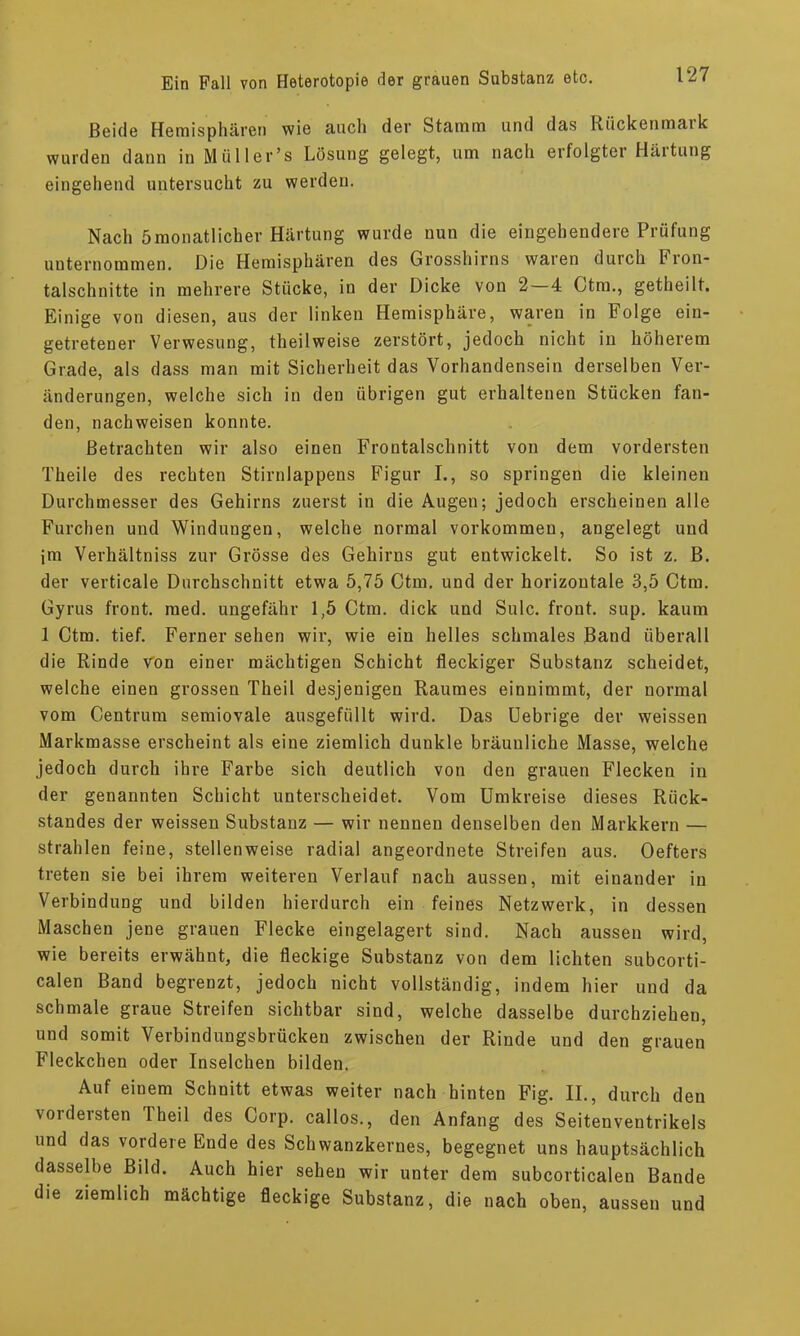 Beide Hemisphären wie auch der Stamm und das Rückenmai k wurden dann in Müller’s Lösung gelegt, um nach erfolgter Härtung eingehend untersucht zu werden. Nach 5monatlicher Härtung wurde nun die eingehendere Prüfung unternommen. Die Hemisphären des Grosshirns waren durch Fron- talschnitte in mehrere Stücke, in der Dicke von 2 4 Ctm., getheilt. Einige von diesen, aus der linken Hemisphäre, waren in Folge ein- getretener Verwesung, theilweise zerstört, jedoch nicht in höherem Grade, als dass man mit Sicherheit das Vorhandensein derselben Ver- änderungen, welche sich in den übrigen gut erhaltenen Stücken fan- den, nachweisen konnte. Betrachten wir also einen Frontalschnitt von dem vordersten Theile des rechten Stirnlappens Figur I., so springen die kleinen Durchmesser des Gehirns zuerst in die Augen; jedoch erscheinen alle Furchen und Windungen, welche normal Vorkommen, angelegt und im Verhältniss zur Grösse des Gehirns gut entwickelt. So ist z. B. der verticale Durchschnitt etwa 5,75 Ctm. und der horizontale 3,5 Ctm. Gyrus front, med. ungefähr 1,5 Ctm. dick und Sulc. front, sup. kaum 1 Ctm. tief. Ferner sehen wir, wie ein helles schmales Band überall die Rinde Von einer mächtigen Schicht fleckiger Substanz scheidet, welche einen grossen Theil desjenigen Raumes einnimmt, der normal vom Centrum semiovale ausgefüllt wird. Das üebrige der weissen Markmasse erscheint als eine ziemlich dunkle bräunliche Masse, welche jedoch durch ihre Farbe sich deutlich von den grauen Flecken in der genannten Schicht unterscheidet. Vom Umkreise dieses Rück- standes der weissen Substanz — wir nennen denselben den Markkern — strahlen feine, stellenweise radial angeordnete Streifen aus. Oefters treten sie bei ihrem weiteren Verlauf nach aussen, mit einander in Verbindung und bilden hierdurch ein feines Netzwerk, in dessen Maschen jene grauen Flecke eingelagert sind. Nach aussen wird, wie bereits erwähnt, die fleckige Substanz von dem lichten subcorti- calen Band begrenzt, jedoch nicht vollständig, indem hier und da schmale graue Streifen sichtbar sind, welche dasselbe durchziehen, und somit Verbindungsbrücken zwischen der Rinde und den grauen Fleckchen oder Inselchen bilden. Auf einem Schnitt etwas weiter nach hinten Fig. II., durch den vordersten Theil des Corp. callos., den Anfang des Seitenventrikels und das vordere Ende des Schwanzkernes, begegnet uns hauptsächlich dasselbe Bild. Auch hier sehen wir unter dem subcorticalen Bande die ziemlich mächtige fleckige Substanz, die nach oben, aussen und