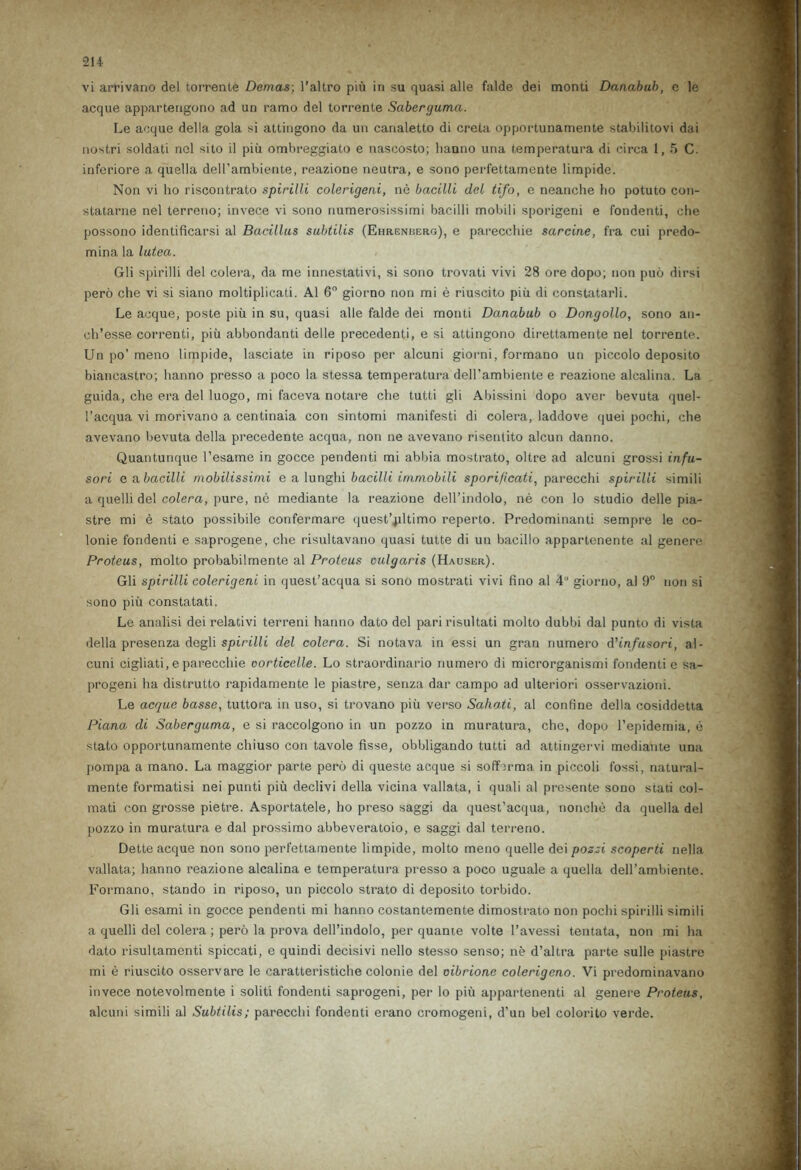 vi arrivano del torrente Demas; 1’aHro piu in su quasi alie falde dei monti Danabub, e le acque appartengono ad un ramo del torrente Saberguma. Le acque della gola si attingono da un canaletto di creta opportunamente stabilitovi dai nostri soldati nol sito il piu ombreggiato e nascosto; lianno una temperatura di circa 1,5 C. inferiore a quella dell’ambiente, reazione neutra, e sono perfettamente limpide. Non vi ho riscontrato spirilli colerigeni, ne bacilli del tifo, e neanche ho potuto con- statarne nel terreno; invece vi sono numerosissimi bacilli mobili sporigeni e fondenti, che possono identificarsi al Bacillus subtilis (Ehrenberg), e parecchie sarcine, fra cui predo- mina la lutca. Gli spirilli del colera, da me innestativi, si sono trovati vivi 28 ore dopo; non puo dirsi pero che vi si siano moltiplicati. Al 6° giorno non mi e riuscito piii di constatarli. Le acque, poste piu in su, quasi alle falde dei monti Danabub o Dong olio, sono an- ch’esse correnti, piu abbondanti delle precedenti, e si attingono direttamente nel torrente. Un po’ meno limpide, lasciate in riposo per alcuni giorni, formano un piccolo deposito bianeastro; hanno presso a poco la stessa temperatura dell’ambiente e reazione alcalina. La guida,, che era del luogo, mi faceva notare che tutti gli Abissini dopo aver bevuta quel- l’acqua vi morivano a centinaia con sintomi manifesti di colera, laddove quei pochi, che avevano bevuta della precedente acqua, non ne avevano risentito alcun danno. Quantunque l’esame in gocce pendenti mi abbia mostrato, oltre ad alcuni grossi infu- sori e a bacilli mobilissimi e a lunghi bacilli immobili sporificati, parecchi spirilli simili a quelli del colera, pure, ne mediante la reazione dell’indolo, ne con lo studio delle pia- stre mi e stato possibile confermare quest’^iltimo reperto. Predominanti sempre le co- lonie fondenti e saprogene, che risultavano quasi tutte di un bacillo appartenente al genere Proteus, molto probabilmente al Proteus oulgaris (Hauser). Gli spirilli colerigeni in quest’acqua si sono mostrati vivi fino al 4 giorno, al 9° non si sono piu constatati. Le analisi dei relativi terreni hanno dato del pari risultati molto dubbi dal punto di vista della presenza degli spirilli del colera. Si notava in essi un gran numero A'infusori, al- cuni cigliati, e parecchie oorticelle. Lo straordinario numero di microrganismi fondenti e sa- progeni ha distrutto rapidamente le piastre, senza dar campo ad ulteriori osservazioni. Le acque basse, tuttora in uso, si trovano piu verso Saho.ti, al confine della cosiddetta Piana di Saberguma, e si raccolgono in un pozzo in muratura, che, dopo l’epidemia, e stato opportunamente chiuso con tavole fisse, obbligando tutti ad attingervi mediante una pompa a mano. La maggior parte pero di queste acque si sofferma in piccoli fossi, natural- mente formatisi nei punti piu declivi della vicina vallata, i quali al presente sono stati col- mati con grosse pietre. Asportatele, ho preso saggi da quest’acqua, nonche da quella del pozzo in muratura e dal prossimo abbeveratoio, e saggi dal terreno. Dette acque non sono perfettamente limpide, molto meno quelle dei pozzi scoperti nella vallata; hanno reazione alcalina e temperatura presso a poco uguale a quella dell’ambiente. Formano, stando in riposo, un piccolo strato di deposito torbido. Gli esami in gocce pendenti mi hanno costantemente dimostrato non pochi spirilli simili a quelli del colera ; pero la prova dell’indolo, per quante volte 1’avessi tentata, non mi ha dato risultamenti spiccati, e quindi decisivi nello stesso senso; ne d’altra parte sulle piastre mi e riuscito osservare le caratteristiche colonie del oibrionc eolerigeno. Vi predominavano invece notevolmente i soliti fondenti saprogeni, per lo piu appartenenti al genere Proteus, alcuni simili al Subtilis; parecchi fondenti erano cromogeni, d’un bel colorito verde.