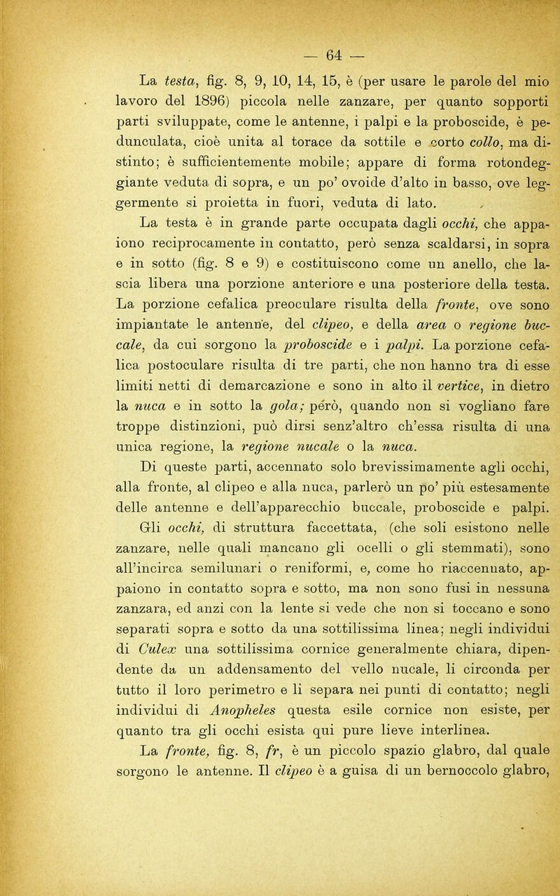 La testa, fig. 8, 9, 10, 14, 15, e (per usare le parole del mio lavoi’o del 1896) piccola nelle zanzare, per quanto sopporti parti sviluppate, come le antenne, i palpi e la proboscide, e pe- dunculata, cioe unita al torace da sottile e corto collo, ma di- stinto; e sufficientemente mobile; appare di forma rotondeg- giante veduta di sopra, e un po’ ovoide d’alto in basso, ove leg- germente si proietta in fuori, veduta di lato. La testa e in grande parte occupata dagli ocelli, che appa- iono reciprocamente in contatto, pero senza scaldarsi, in sopra e in sotto (fig. 8 e 9) e costituiscono come un anello, die la- scia libera una porzione anteriore e una posteriore della testa. La porzione cefalica preoculare risulta della fronte, ove sono impiantate le antenne, del clipeo, e della area o regione buc- cale, da cui sorgono la proboscide e i palpi. La porzione cefa- lica postoculare risulta di tre parti, che non hanno tra di esse limiti netti di demarcazione e sono in alto il vertice, in dietro la nuca e in sotto la gola; pero, quando non si vogliano fare troppe distinzioni, pud dirsi senz’altro ch’essa risulta di una unica regione, la regione nucale o la nuca. Di queste parti, accennato solo brevissimamente agli occhi, alia fronte, al clipeo e alia nuca, parlero un po’ piu estesamente delle antenne e dell’apparecchio buccale, proboscide e palpi. Gli occhi, di struttura faccettata, (che soli esistono nelle zanzare, nelle quali mancano gli ocelli o gli stemmati), sono all’incirca semilunari o reniformi, e, come ho riaccenuato, ap- paiono in contatto sopra e sotto, ma non sono fusi in nessuna zanzara, ed anzi con la lente si vede che non si toccano e sono separati sopra e sotto da una sottilissima linea; negli individui di Culex una sottilissima cornice generalmente chiara, dipen- dente da un addensamento del vello nucale, li circonda per tutto il loro perimetro e li separa nei punti di contatto; negli individui di Anopheles questa esile cornice non esiste, per quanto tra gli occhi esista qui pure lieve interlinea. La fronte, fig. 8, fr, e un piccolo spazio glabro, dal quale sorgono le antenne. Il clipeo e a guisa di un bernoccolo glabro,