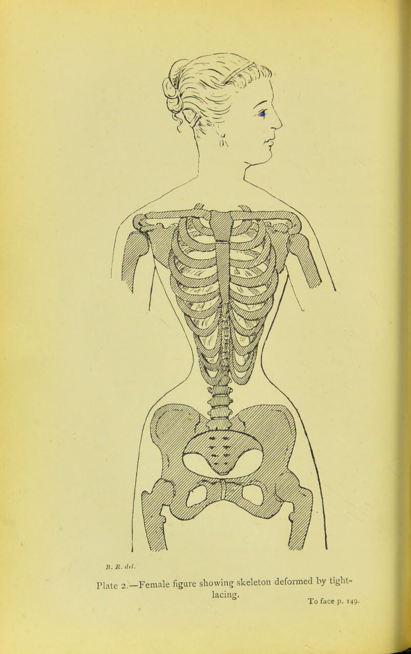 Jj. R. del. p|a);e 2. Female figure showing skeleton deformed by tight- lacing. To face p. 149.