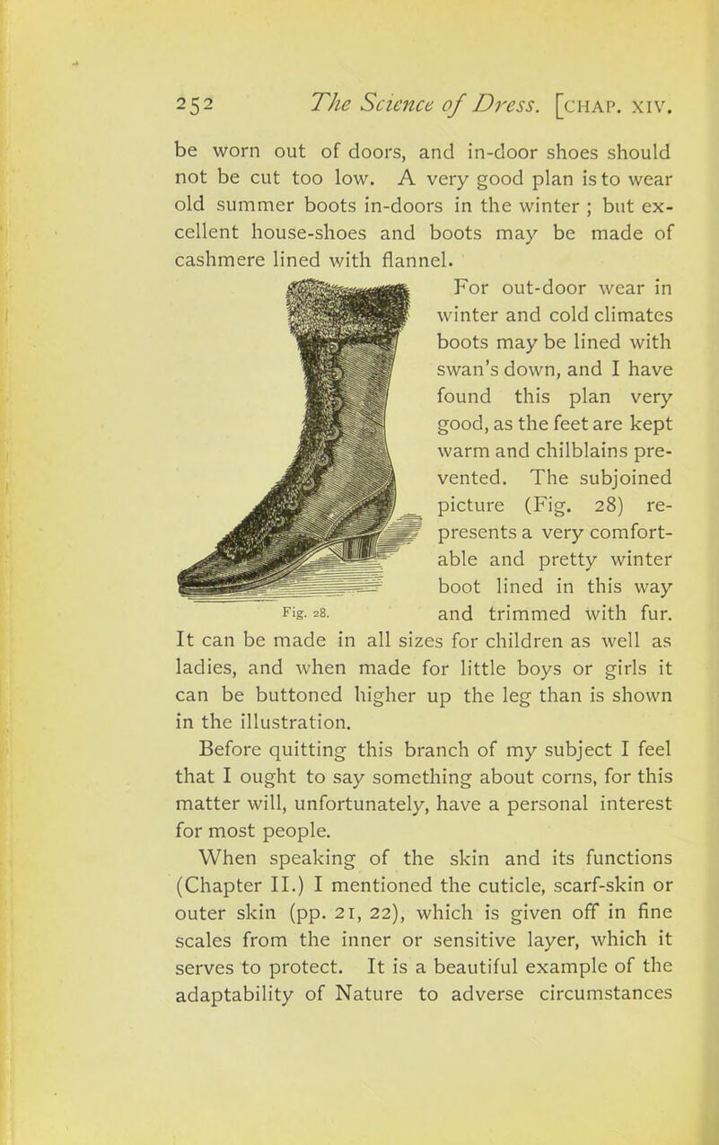 be worn out of doors, and in-door shoes should not be cut too low. A very good plan is to wear old summer boots in-doors in the winter ; but ex- cellent house-shoes and boots may be made of cashmere lined with flannel. For out-door wear in winter and cold climates boots may be lined with swan’s down, and I have found this plan very good, as the feet are kept warm and chilblains pre- vented. The subjoined picture (Fig. 28) re- presents a very comfort- able and pretty winter boot lined in this way and trimmed with fur. It can be made in all sizes for children as well as ladies, and when made for little boys or girls it can be buttoned higher up the leg than is shown in the illustration. Before quitting this branch of my subject I feel that I ought to say something about corns, for this matter will, unfortunately, have a personal interest for most people. When speaking of the skin and its functions (Chapter II.) I mentioned the cuticle, scarf-skin or outer skin (pp. 21, 22), which is given off in fine scales from the inner or sensitive layer, which it serves to protect. It is a beautiful example of the adaptability of Nature to adverse circumstances