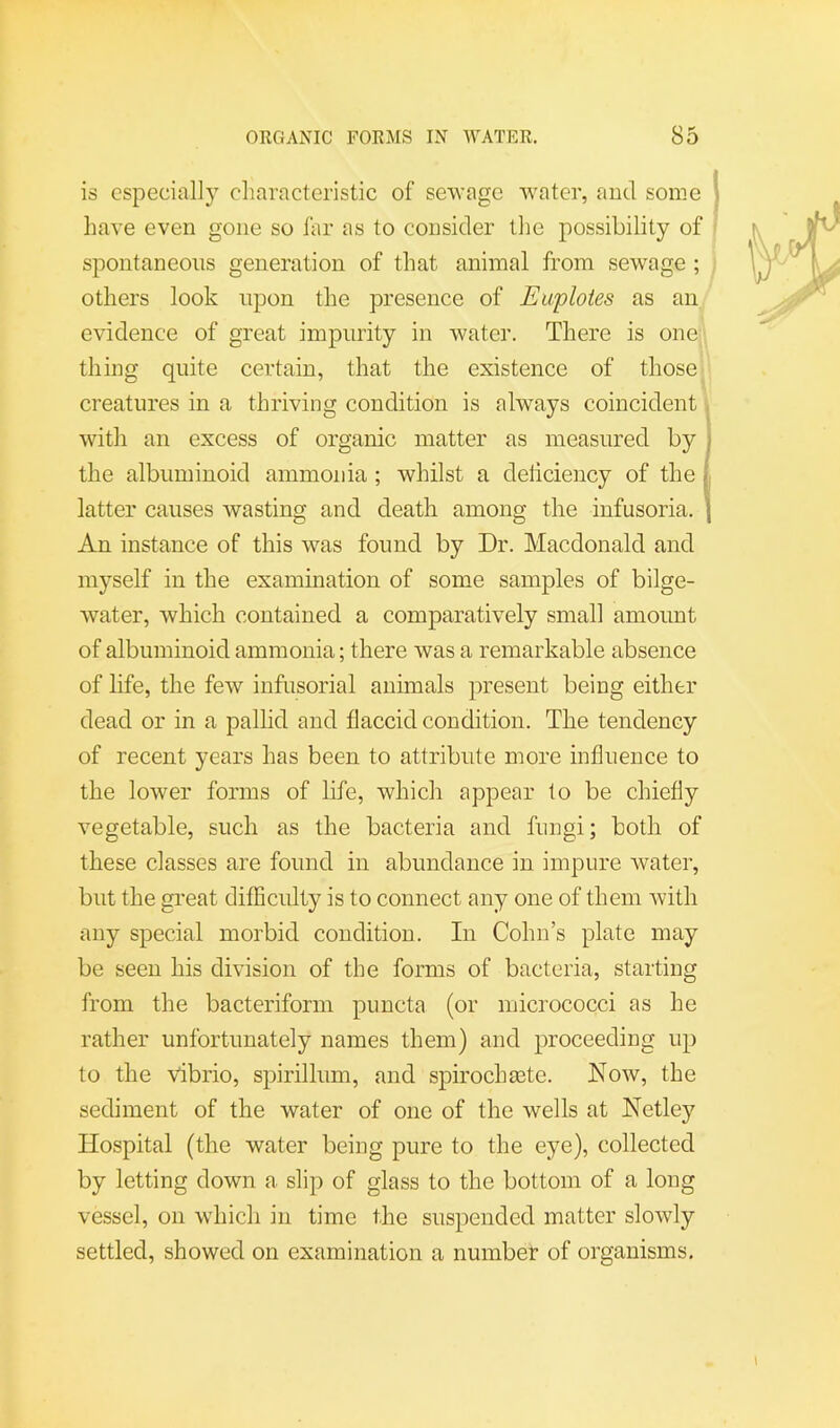 is especially characteristic of sewage water, and some have even gone so far as to consider the possibility of spontaneous generation of that animal from sewage ; others look upon the presence of Eaploies as an evidence of great impurity in water. There is one thing quite certain, that the existence of those creatures in a thriving condition is always coincident , with an excess of organic matter as measured by j the albuminoid ammonia ; whilst a deliciency of the i latter causes wasting and death among the infusoria. \ An instance of this was found by Dr. Macdonald and myself in the examination of some samples of bilge- water, which contained a comparatively small amount of albuminoid ammonia; there was a remarkable absence of life, the few infusorial animals present being either dead or in a pallid and flaccid condition. The tendency of recent years has been to attribute more influence to the lower forms of life, which appear to be chiefly vegetable, such as the bacteria and fungi; both of these classes are found in abundance in impure water, but the great difficulty is to connect any one of them with any special morbid condition. In Cohn’s plate may be seen his division of the forms of bacteria, starting from the bacteriform puncta (or micrococci as he rather unfortunately names them) and proceeding up to the vibrio, spirillum, and spirochaste. Now, the sediment of the water of one of the wells at Netley Hospital (the water being pure to the eye), collected by letting down a slip of glass to the bottom of a long vessel, on which in time the suspended matter slowly settled, showed on examination a numbet of organisms.