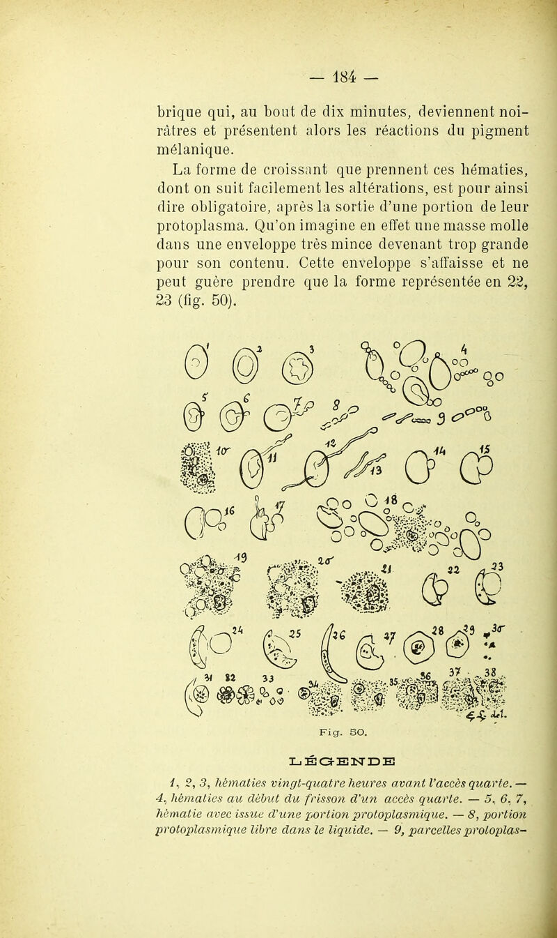 brique qui, au boat de clix minutes, deviennent noi- ratres et presentent alors les reactions du pigment melanique. La forme de croissant que prennent ces hematies, dont on suit facilement les alterations, est pour ainsi dire obligatoire, apres la sortie d’une portion de leur protoplasma. Qu’on imagine en effet une masse molle dans une enveloppe tres mince devenant trop grande pour son contenu. Cette enveloppe s’affaisse et ne peut guere prendre que la forme representee en 22, 23 (fig. 50). Fig. SO. LEGENDE i, 2, 3, hematies vingt-quatre heares avant I'accds quarle. — 4, hematies au debut du frisson d’un accds quarle. — 5, 6, 7, hematie avec issue d’une portion protoplasmique. — 8, portion protoplasmique libre dam le liquide. — 9, parcelles proloplas-