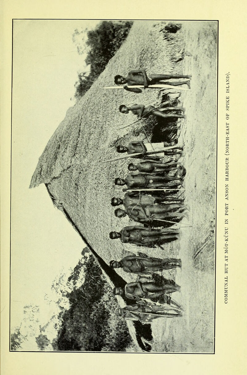 COMMUNAL HUT AT MOT-KUNU IN PORT ANSON HARBOUR (nORTH-EAST OF SPIKE ISLAND).