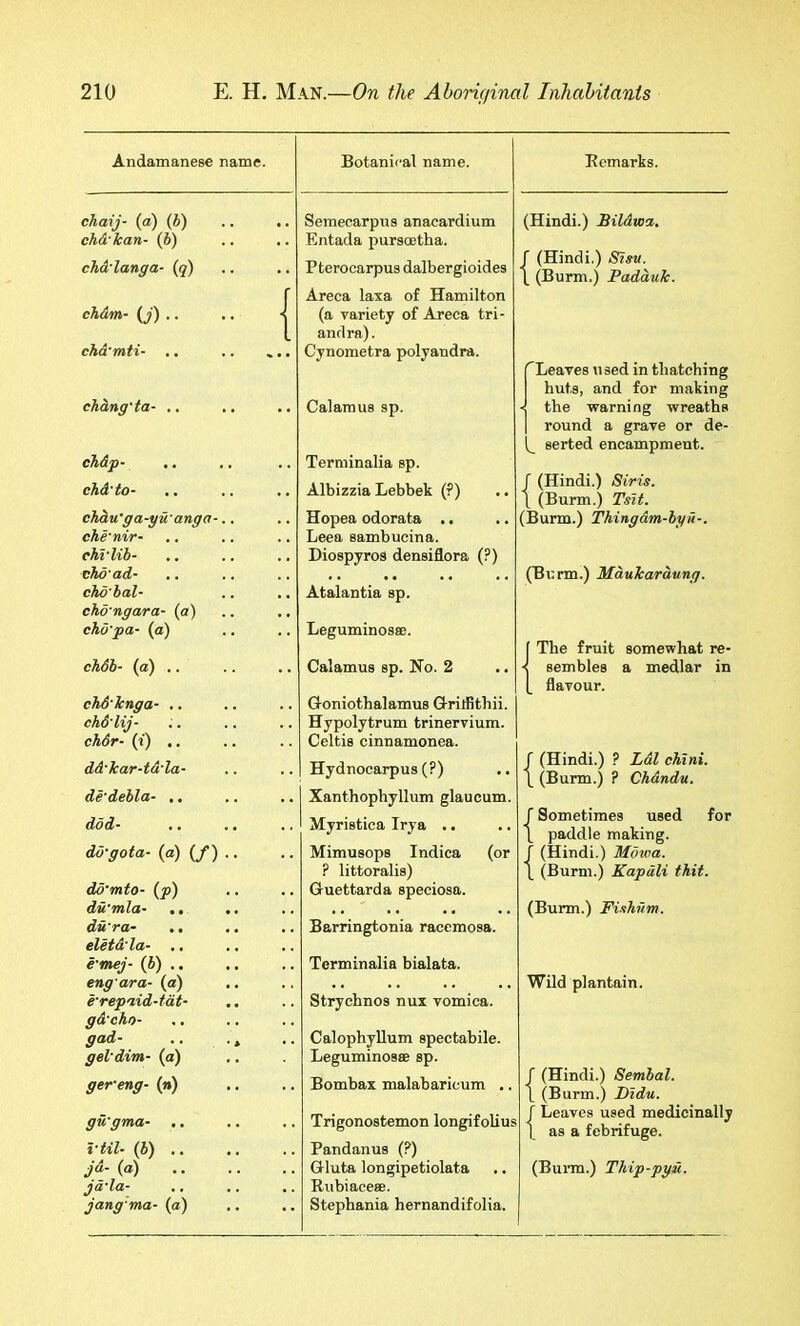 Andamanese name. chaij- id) (b) eh&'kan- (6) ch&'langa- (q) chdm- {j) ., chd'mti- chdng'ta- .. cTidp- chd'to- chdu'ga-yu'anga-.. che'nir- ehrlib- chd'ad- chd'bal- chd'ngara- (a) cho'pa- (a) chdb- (a) .. chd'knga- .. chd'lij- chdr- O') .. dd'kar-td'la- de'debla- dod- do-gota- (a) (/) .. do'mto- (jo) du'mla- .. .. du'ra- eletd'la- .. e-mej- (b) .. eng'ara- (a) e'rep'iid-tat- gd'cho- gad- .. ., geldim- (a) ger-eng- (n) gu'gma- .. Vtil- (b) .. Jd- (a) jd'la- jang'fna- {a) Botanical name. Semecarpus anacardium Entada pursoetha. Pterocarpus dalbergioides Areca laxa of Hamilton (a variety of Areca tri- andra). Cynometra polyandra. Calamus sp. Terminalia sp. Albizzia Lebbek (?) Hopea odorata .. Leea sambucina. Diospyros densiflora (?) Atalantia sp. Leguminosse. Calamus sp. No. 2 Goniothalamus Q-ritfitliii. Hypolytrum trinervium. Celtis cinnamonea. Hydnocarpus (?) Xanthophyllum glaucum. Myristica Irya .. Mimusops Indica (or ? littoralis) Guettarda speciosa. Barringtonia racemosa. Terminalia bialata. Strychnos nux vomica. Calophyllum spectabile. Leguminosse sp. Bombax malabaricum .. Trigonostemon longifolius Pandanus (?) Gluta longipetiolata Rubiacese. Stephania hernandifolia. Remarks. (Hindi.) Bildwa,. r (Hindi.) Sisv. 1 (Burm.) Padd.uk. 'Leaves used in thatching huts, and for making ■ the warning wreaths round a grave or de- 0 serted encampment. / (Hindi.) Siris. t (Burm.) Tsit. (Burm.) Thingdm-byu-. (Burm.) Mdukardung. f The fruit somewhat re- ■< sembles a medlar in [ flavour. r (Hindi.) ? Ldl chini. ( (Burm.) ? Chdndu. Sometimes used for paddle making. (Hindi.) Moxoa. (Burm.) Kapdli thit. (Burm.) Fidhum. Wild plantain. / (Hindi.) Sembal. 1 (Burm.) JDidu. f Leaves used medicinally 1 as a febrifuge. (Burm.) Thip-pgu.