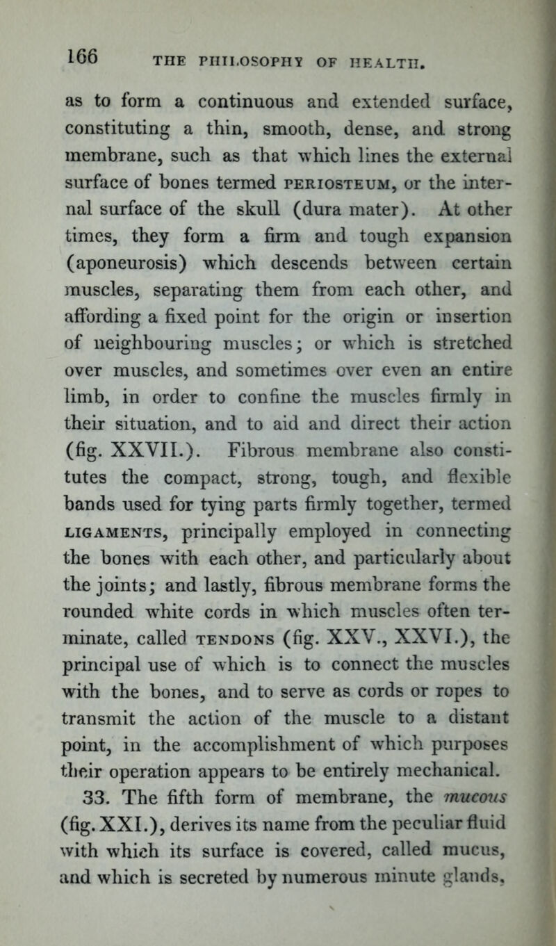 as to form a continuous and extended surface, constituting a thin, smooth, dense, and strong membrane, such as that which lines the externa] surface of bones termed periosteum, or the inter- nal surface of the skull (dura mater). At other times, they form a firm and tough expansion (aponeurosis) which descends between certain muscles, separating them from each other, and affording a fixed point for the origin or insertion of neighbouring muscles; or which is stretched over muscles, and sometimes over even an entire limb, in order to confine the muscles firmly in their situation, and to aid and direct their action (fig. XXVII.). Fibrous membrane also consti- tutes the compact, strong, tough, and flexible bands used for tying parts firmly together, termed ligaments, principally employed in connecting the bones with each other, and particularly about the joints; and lastly, fibrous membrane forms the rounded white cords in which muscles often ter- minate, called tendons (fig. XXV., XXVI.), the principal use of which is to connect the muscles with the bones, and to serve as cords or ropes to transmit the action of the muscle to a distant point, in the accomplishment of which purposes their operation appears to be entirely mechanical. 33. The fifth form of membrane, the mucous (fig. XXI.), derives its name from the peculiar fluid with which its surface is covered, called mucus, and which is secreted by numerous minute glands,