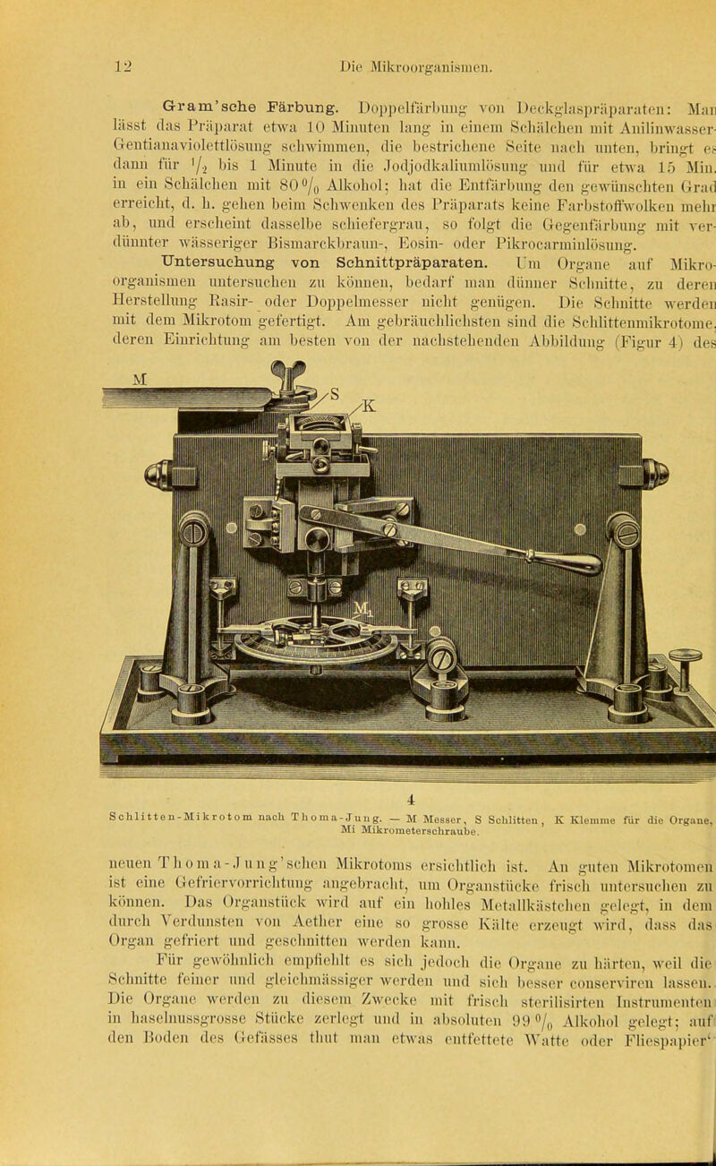 Gram’sche Färbung. Doppelfärbung von Deckginspräparaten: Man lässt das Präparat etwa 10 Minuten lang in einem Schälchen mit Anilinwasser- Gentianaviolettlösung schwimmen, die bestrichene Seite nach unten, bringt es dann für '/.2 bis 1 Minute in die Jodjodkaliulnlösung und für etwa 15 Min. in ein Schälchen mit 80°/0 Alkohol; hat die Entfärbung den gewünschten Grad erreicht, d. h. gehen beim Schwenken des Präparats keine Farbstoffwolken mehr ab, und erscheint dasselbe schiefergrau, so folgt die Gegenfärbung mit ver- dünnter wässeriger Bismarckbraun-, Eosin- oder Pikrocarminlösung. Untersuchung von Schnittpräparaten. Um Organe auf Mikro- organismen untersuchen zu können, bedarf man dünner Schnitte, zu deren Herstellung Rasir- oder Doppelmesser nicht genügen. Die Schnitte werden mit dem Mikrotom gefertigt. Am gebräuchlichsten sind die Schlittenmikrotome, deren Einrichtung am besten von der nachstehenden Abbildung (Figur 4) des 4 Schlitten-Mikrotom nach Thoma-Jung. — M Messer, S Schlitten, K Klemme für die Organe, Mi Mikrometerschraube. neuen. T h o m a - .1 u n g ’ sehen Mikrotoms ersichtlich ist. An guten Mikrotomen ist eine Gefriervorrichtung angebracht, um Organstücke frisch untersuchen zu können. Das Organstück wird auf ein hohles Metallkästchen gelegt, in dem durch Verdunsten von Aetlier eine so grosse Kälte erzeugt wird, dass das Organ gefriert und geschnitten werden kann. Für gewöhnlich empfiehlt es sich jedoch die Organe zu härten, weil die Schnitte feiner und gleichmässiger werden und sich besser conserviren lassen. Die Organe werden zu diesem Zwecke mit frisch sterilisirten Instrumenten in haselnussgrosse Stücke zerlegt und in absoluten 99 °/0 Alkohol gelegt; auf den Boden des Gefässes thut man etwas entfettete Watte oder Fliespapier*