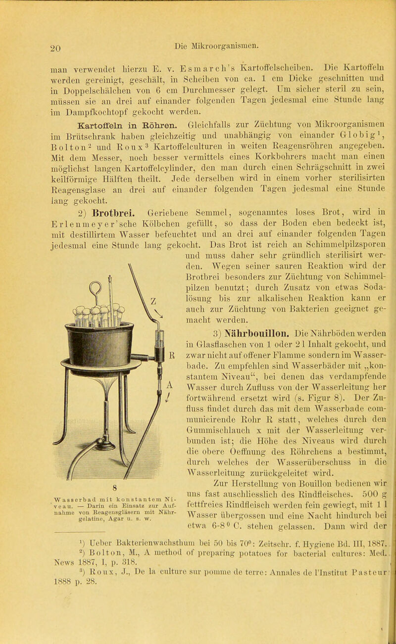 man verwendet hierzu E. v. Esmarcli’s Kartoffelscheiben. Die Kartoffeln werden gereinigt, geschält, in Scheiben von ca. 1 cm Dicke geschnitten und in Doppelschälchen von 6 cm Durchmesser gelegt. Um sicher steril zu sein, müssen sie an drei auf einander folgenden Tagen jedesmal eine Stunde lang im Dampfkochtopf gekocht werden. Kartoffeln in Röhren. Gleichfalls zur Züchtung von Mikroorganismen im Brütschrank haben gleichzeitig und unabhängig von einander Globig1 2, Bolton- und Roux3 Kartoffelculturen in weiten Reagensröhren angegeben. Mit dem Messer, noch besser vermittels eines Korkbohrers macht man einen möglichst langen Ivartoffelcylinder, den man durch einen Schrägschnitt in zwei keilförmige Hälften theilt. Jede derselben wird in einem vorher sterilisirten Reagensglase an drei auf einander folgenden Tagen jedesmal eine Stunde lang gekocht. 2) Brotbrei. Geriebene Semmel, sogenanntes loses Brot, wird in Erlenmey er’sche Kölbchen gefüllt, so dass der Boden eben bedeckt ist, mit destillirtem Wasser befeuchtet und an drei auf einander folgenden Tagen iedesmal eine Stunde lang gekocht. Das Brot ist reich an Schimmelpilzsporen und muss daher sehr gründlich sterilisirt wer- den. Wegen seiner sauren Reaktion wird der Brotbrei besonders zur Züchtung von Schimmel- pilzen benutzt; durch Zusatz von etwas Soda- lösung bis zur alkalischen Reaktion kann er auch zur Züchtung von Bakterien geeignet ge- macht werden. 3) Nähl’bouilloil. Die Nährböden werden in Glasflaschen von 1 oder 2 1 Inhalt gekocht, und zwar nicht auf offener Flamme sondern im Wasser- bade. Zu empfehlen sind Wasserbäder mit „kon- stantem Niveau“, bei denen das verdampfende Wasser durch Zufluss von der Wasserleitung her fortwährend ersetzt wird (s. Figur 8). Der Zu- fluss tiudet durch das mit dem Wasserbade com- municirende Rohr R statt, welches durch den Gummischlauch x mit der Wasserleitung ver- bunden ist; die Höhe des Niveaus wird durch die obere Oeffnung des Röhrchens a bestimmt, durch welches der Wasserüberschuss in die Wasserleitung zurückgeleitet wird. Zur Herstellung von Bouillon bedienen wir uns fast auscldiesslich des Rindfleisches. 500 g fettfreies Rindfleisch werden fein gewiegt, mit 1 1 Wasser übergossen und eine Nacht hindurch bei etwa 6-8° 0. stehen gelassen. Dann wird der ') Uebor Bakterienwachsthum hei 50 bis 70°: Zeitschr. f. Hygiene Bd. 111, 1887. 2) Bolton, M., A method of preparing potatoes for bacterial cultures: Med. News 1887, 1, p. 318. 3) lioux, J., De la culture sur ponune de terre: Annales de rinstitut Pasteur 1888 p. 28. 8 Wasserbad mit konstantem Ni- veau. — Darin ein Einsatz zur Auf- nahme von Keagensgläsern mit Nähr- gelatine, Agar u. s. w.