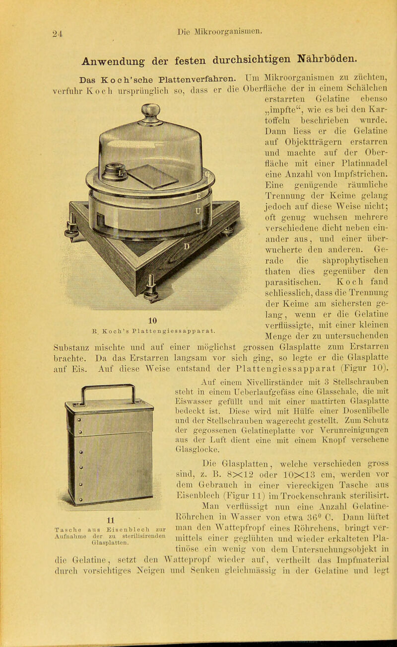 Anwendung der festen durchsichtigen Nährböden. Das Ko eh’sehe Plattenverfahren. Um Mikroorganismen zu züchten, verfuhr Kocli ursprünglich so, dass er die Oberfläche der in einem Schälchen erstarrten Gelatine ebenso „impfte“, wie es bei den Kar- toffeln beschrieben wurde. Dann liess er die Gelatine auf Objektträgern erstarren und machte auf der Ober- fläche mit einer Platinnadel eine Anzahl von Impfstrichen. Eine genügende räumliche Trennung der Keime gelang jedoch auf diese Weise nicht; oft genug wuchsen mehrere verschiedene dicht neben ein- ander aus, und einer über- wucherte den anderen. Ge- rade die säpropliytischen tliaten dies gegenüber den parasitischen. Koch fand schliesslich, dass die Trennung der Keime am sichersten ge- lang- , wenn er die Gelatine verflüssigte, mit einer kleinen Menge der zu untersuchenden Substanz mischte und auf einer möglichst grossen Glasplatte zum Erstarren brachte. Da das Erstarren langsam vor sich ging, so legte er die Glasplatte auf Eis. Auf diese Weise entstand der Plattengiessapparat (Figur 10). 11 Tasche aus Eisenblech zur Aufnahme der zu sterilisirenden Glasplatten. die Gelatine, setzt den W durch vorsichtiges Neigen Auf einem NivellirStänder mit 3 Stellschrauben steht in einem Ueberlaufgefäss eine Glasschale, die mit Eiswasser gefüllt und mit einer mattirten Glasplatte bedeckt ist. Diese wird mit Hülfe einer Dosenlibelle und der Stellschrauben wagerecht gestellt. Zum Schutz der gegossenen Gelatineplatte vor Verunreinigungen aus der Luft dient eine mit einem Knopf versehene Glasglocke. Die Glasplatten, welche verschieden gross sind, z. B. 8X12 oder 10X13 cm, werden vor dem Gebrauch in einer viereckigen Tasche aus Eisenblech (Figur 11) im Trockenschrank sterilisirt. Man verflüssigt nun eine Anzahl Gelatine- Röhrchen in Wasser von etwa 36° C. Dann lüftet man den Wattepfropf eines Röhrchens, bringt ver- mittels einer geglühten und wieder erkalteten Pla- tinöse ein wenig von dem Untersuchungsobjekt in attepropf wieder auf, vertheilt das Impfmaterial und Senken gleichmässig in der Gelatine und legt