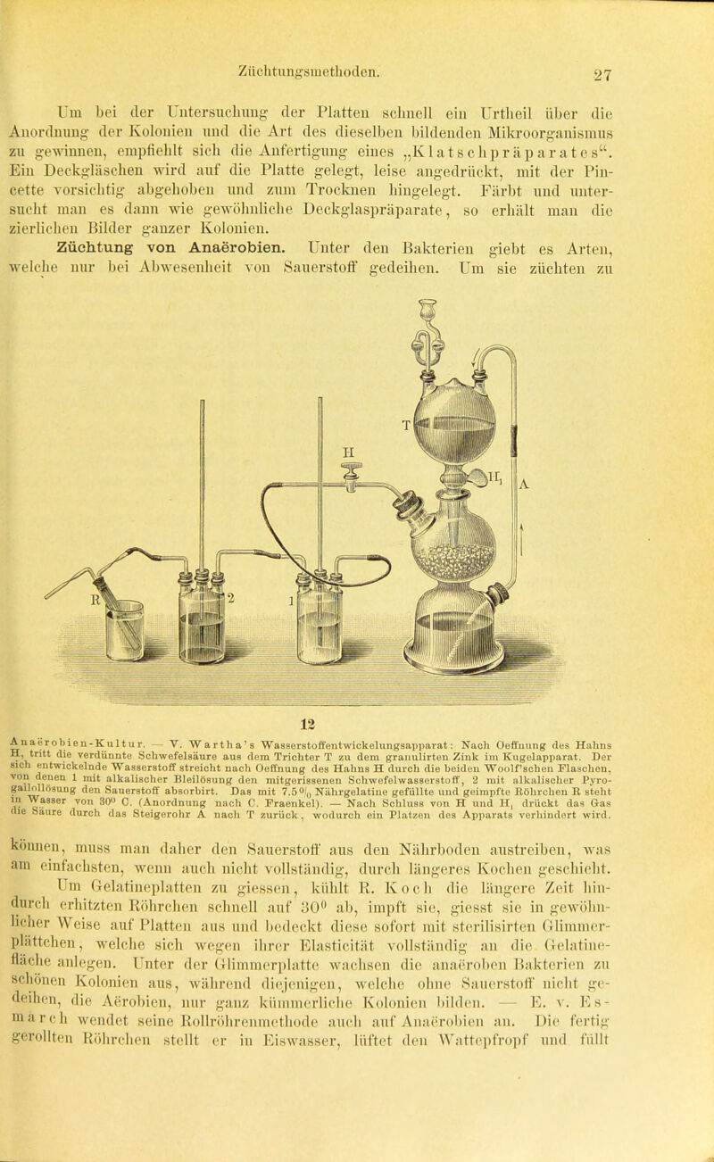 Um bei der Untersuchung der Platten schnell ein Urtheil über die Anordnung der Kolonien und die Art des dieselben bildenden Mikroorganismus zu gewinnen, empfiehlt sich die Anfertigung eines „Klatschpräparates“. Ein Deckgläschen wird auf die Platte gelegt, leise angedrückt, mit der Pin- cette vorsichtig abgehoben und zum Trocknen hingelegt. Färbt und unter- sucht man es dann wie gewöhnliche Deckglaspräparate, so erhält man die zierlichen Bilder ganzer Kolonien. Züchtung von Anaerobien. Unter den Bakterien giebt es Arten, welche nur bei Abwesenheit von Sauerstoff gedeihen. Um sie züchten zu 12 A naerobien-Kul t u r. V. Wartha’s Wasserstoffentwickelunggapparat: Nach Oeffuung des Hahns H, tritt die verdünnto Schwefelsäure aus dem Trichter T zu dem granuiirten Zink im Kugelapparat. Der sich entwickelnde Wasserstoff streicht nach Oeffnuug des Hahns H durch die beiden Woolf’schen Maschen, ™ denen 1 mit alkalischer Bleilösung den mitgerissenen Schwefelwasserstoff, 2 mit alkalischer Pyro- gailnllösuog den Sauerstoff' absorbirt. Das mit 7.5% Nährgelatine gefüllte und geimpfte Röhrchen R steht V! lasser von 30° C. (Anordnung nach C. Fraenkel). — Nach Schluss von H und H, drückt das Gas die Säure durch das Steigerohr A nach T zurück, wodurch ein Platzen des Apparats verhindert wird. können, muss man daher den Sauerstoff aus den Nährboden austreiben, was am einfachsten, wenn auch nicht vollständig, durch längeres Kochen geschieht. Um Gelatineplatten zu giessen, kühlt R. Koch die längere Zeit hin- durch erhitzten Röhrchen schnell auf 30° ab, impft sie, giesst sie in gewöhn- licher Weise auf Platten aus und bedeckt diese sofort mit sterilisirten Glimmcr- plättchen, welche sich wegen ihrer Elasticität vollständig an die Gelatine- fläche anlegen. Unter der Glimmerplatte wachsen die anaeroben Bakterien zu schönen Kolonien aus, während diejenigen, welche ohne Sauerstoff nicht ge- deihen, die Aerobien, nur ganz kümmerliche Kolonien bilden. — E. v. Es- uiareli wendet seine Rollröhrenmethode auch auf Anaerobien an. Die fertig gerollten Röhrchen stellt er in Eiswasser, lüftet den Wattepfropf und füllt