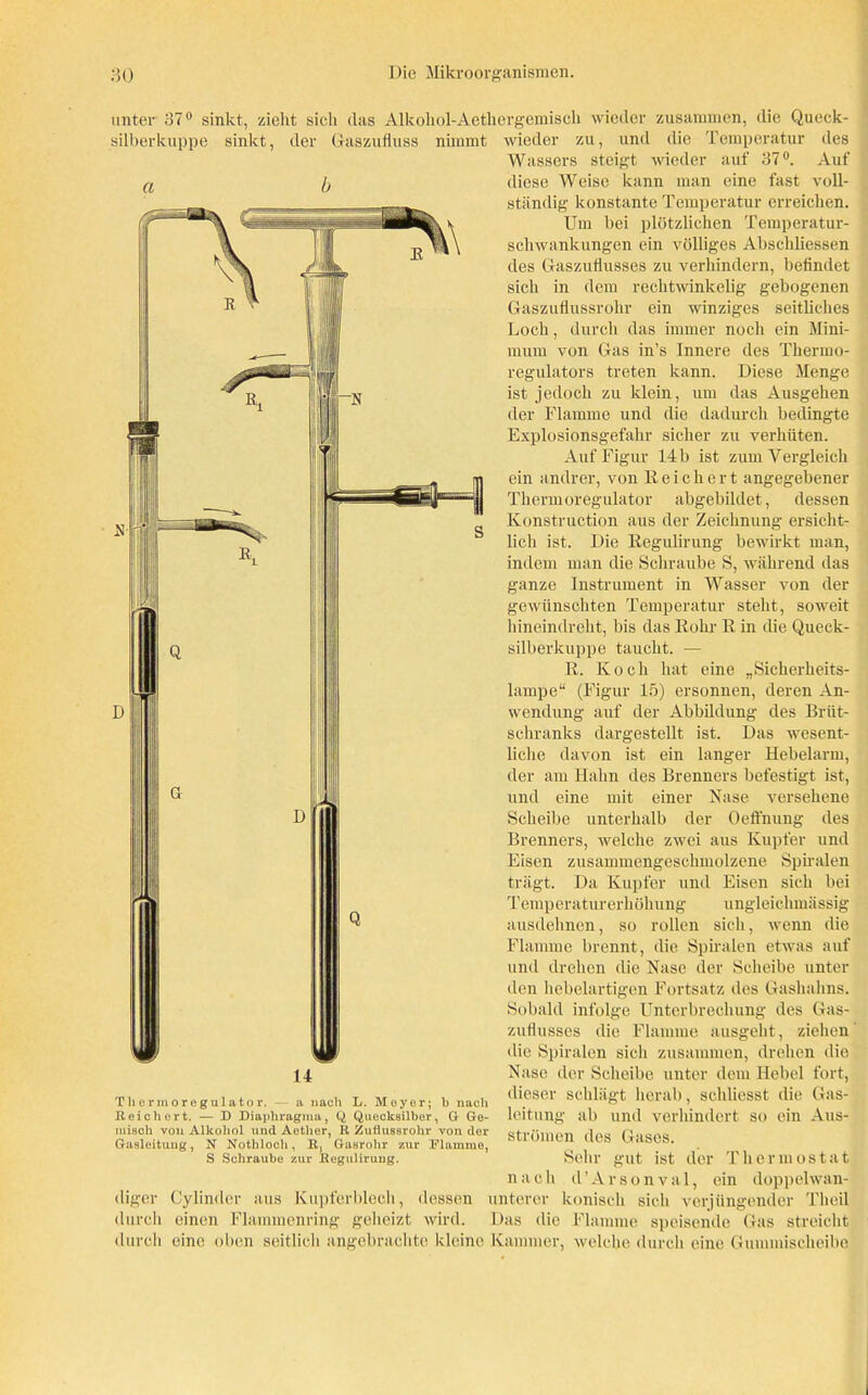 unter 37° sinkt, zieht sich das Alkohol-Aethergemiscli wieder zusammen, die Queck- silberkuppe sinkt, der Gaszufluss nimmt a wieder zu, und die Temperatur des Wassers steigt weder auf 37°. Auf diese Weise kann man eine fast voll- ständig konstante Temperatur erreichen. Um bei plötzlichen Temperatur- schwankungen ein völliges Abschliessen des Gaszuflusses zu verhindern, befindet sich in dem rechtwinkelig gebogenen Gaszuflussrohr ein winziges seitliches Loch, durch das immer noch ein Mini- mum von Gas in’s Innere des Therrno- regulators treten kann. Diese Menge ist jedoch zu klein, um das Ausgehen der Flamme und die dadurch bedingte Explosionsgefahr sicher zu verhüten. Auf Figur 14 b ist zum Vergleich ein andrer, von Reichert angegebener Thermoregulator abgebildet, dessen Konstruction aus der Zeichnung ersicht- lich ist. Die Regulirung bewirkt man, indem man die Schraube S, während das ganze Instrument in Wasser von der gewünschten Temperatur stellt, soweit hineindreht, bis das Rohr R in die Queck- silberkuppe taucht. — R. Koch hat eine „Sicherheits- lampe“ (Figur 15) ersonnen, deren An- wendung auf der Abbildung des Briit- schranks dargestellt ist. Das wesent- liche davon ist ein langer Hebelarm, der am Hahn des Brenners befestigt ist, und eine mit einer Nase versehene Scheibe unterhalb der Oeflhung des Brenners, welche zwei aus Kupfer und Eisen zusammengeschmolzene Spiralen trägt. Da Kupfer und Eisen sich bei T emperaturerhöhung ungleichmässig ausdehnen, so rollen sich, wenn die Flamme brennt, die Spiralen etwas auf und drehen die Nase der Scheibe unter den hebelartigen Fortsatz des Gashahns. Sobald infolge Unterbrechung des Gas- zuflusses die Flamme ausgeht, ziehen die Spiralen sich zusammen, drehen die Nase der Scheibe unter dem Hebel fort, dieser schlägt herab, schliesst die Gas- leitung ab und verhindert so ein Aus- strömen des Gases. Sehr gut ist der Thermostat nach d’Arsonval, ein doppelwan- diger Cylinder aus Kupferblech, dessen unterer konisch sich verjüngender Theil durch einen Flammenring geheizt wird. Das die Flamme speisende Gas streicht durch eine oben seitlich angebrachte kleine Kammer, welche durch eine Gummischeibe Thermoregulator. a nach L. Moyor; b nach Beichert. — D Diaphragma, Q Quecksilbor, G Ge- misch von Alkohol und Aether, B Zuflussrohr von der Gasleitung, N Nothloch, B, Gasrohr zur Flamme, S Schraube zur Begulirung.