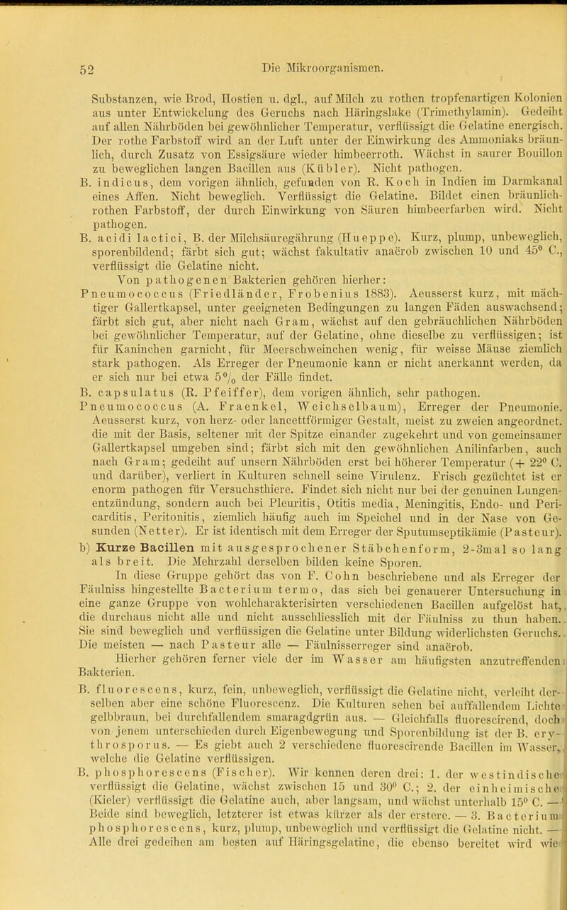 Substanzen, wie Brocl, Hostien u. dgl., auf Milch z.u rothen tropfenartigen Kolonien aus unter Entwickelung des Geruchs nach Häringslake (Trimethylamin). Gedeiht auf allen Nährböden bei gewöhnlicher Temperatur, verflüssigt die Gelatine energisch. Der rothe Farbstoff wird an der Luft unter der Einwirkung des Ammoniaks bräun- lich, durch Zusatz von Essigsäure wieder himbeerroth. Wächst in saurer Bouillon zu beweglichen langen Bacillen aus (Kubier). Nicht pathogen. B. indicus, dem vorigen ähnlich, gefunden von K. Koch in Indien im Darmkanal eines Affen. Nicht beweglich. Verflüssigt die Gelatine. Bildet einen bräunlich- rothen Farbstoff, der durch Einwirkung von Säuren himbeerfarben wird. Nicht pathogen. B. acidi lactici, B. der Milchsäuregährung (Hueppe). Kurz, plump, unbeweglich, sporenbildend; färbt sich gut; wächst fakultativ anaerob zwischen 10 und 45° C., verflüssigt die Gelatine nicht. Von pathogenen Bakterien gehören hierher: Pneumococcus (Friedländer, Frobenius 1883). Aeusserst kurz, mit mäch- tiger Gallertkapsel, unter geeigneten Bedingungen zu langen Fäden auswachsend; färbt sich gut, aber nicht nach Gram, wächst auf den gebräuchlichen Nährböden bei gewöhnlicher Temperatur, auf der Gelatine, ohne dieselbe zu verflüssigen; ist für Kaninchen garnicht, für Meerschweinchen wenig, für weisse Mäuse ziemlich stark pathogen. Als Erreger der Pneumonie kann er nicht anerkannt werden, da er sich nur bei etwa 5°/0 der Fälle findet. B. capsulatus (E. Pfeiffer), dem vorigen ähnlich, sehr pathogen. Pneumococcus (A. Fraenkel, Weichselbaum), Erreger der Pneumonie. Aeusserst kurz, von herz- oder lancettförmiger Gestalt, meist zu zweien angeordnet, die mit der Basis, seltener mit der Spitze einander zugekehrt und von gemeinsamer Gallertkapsel umgeben sind; färbt sich mit den gewöhnlichen Anilinfarben, auch nach Gram; gedeiht auf unsern Nährböden erst bei höherer Temperatur (+ 22° C. und darüber), verliert in Kulturen schnell seine Virulenz. Frisch gezüchtet ist er enorm pathogen für Versuclistliiere. Findet sich nicht nur bei der genuinen Lungen- entzündung, sondern auch bei Pleuritis, Otitis media, Meningitis, Endo- und Peri- carditis, Peritonitis, ziemlich häufig auch im Speichel und in der Nase von Ge- sunden (Netter). Er ist identisch mit dem Erreger der Sputumseptikämie (Pasteur), b) Kurze Bacillen mit ausgesprochener Stäbchenform, 2-3mal so lang als breit. Die Mehrzahl derselben bilden keine Sporen. In diese Gruppe gehört das von F. Cohn beschriebene und als Erreger der Fäulniss hingestellte Bacterium termo, das sich bei genauerer Untersuchung in eine ganze Gruppe von wohlcharakterisirten verschiedenen Bacillen aufgelöst hat, die durchaus nicht alle und nicht ausschliesslich mit der Fäulniss zu thun haben. Sie sind beweglich und verflüssigen die Gelatine unter Bildung widerlichsten Geruchs. Die meisten — nach Pasteur alle — Fäulnisserreger sind anaerob. Hierher gehören ferner viele der im Wasser am häufigsten anzutreffenden Bakterien. B. fluorescens, kurz, fein, unbeweglich, verflüssigt die Gelatine nicht, verleiht der- selben aber eine schöne Fluoresccnz. Die Kulturen sehen bei auffallendem Lichte t gelbbraun, bei durchfallendem smaragdgrün aus. — Gleichfalls fluorescirend, doch von jenem unterschieden durch Eigenbewogung und Sporenbildung ist der B. ery-I tlirosporus. — Es giebt auch 2 verschiedene fluorescirende Bacillen im Wasser, | welche die Gelatine verflüssigen. B. phosphor es eens (Fischer). AVir kennen deren drei: 1. der westindische-.' verflüssigt die Gelatine, wächst zwischen 15 und 30° C.; 2. der einheimische1 (Kieler) verflüssigt die Gelatine auch, aber langsam, und wächst unterhalb 15°C. —! Beide sind beweglich, letzterer ist etwas kürzer als der ersterc. — 3. Bacterium phosphor es eens, kurz, plump, unbeweglich und verflüssigt die Gelatine nicht. — Alle drei gedeihen am besten auf Häringsgelatine, die ebenso bereitet wird wie