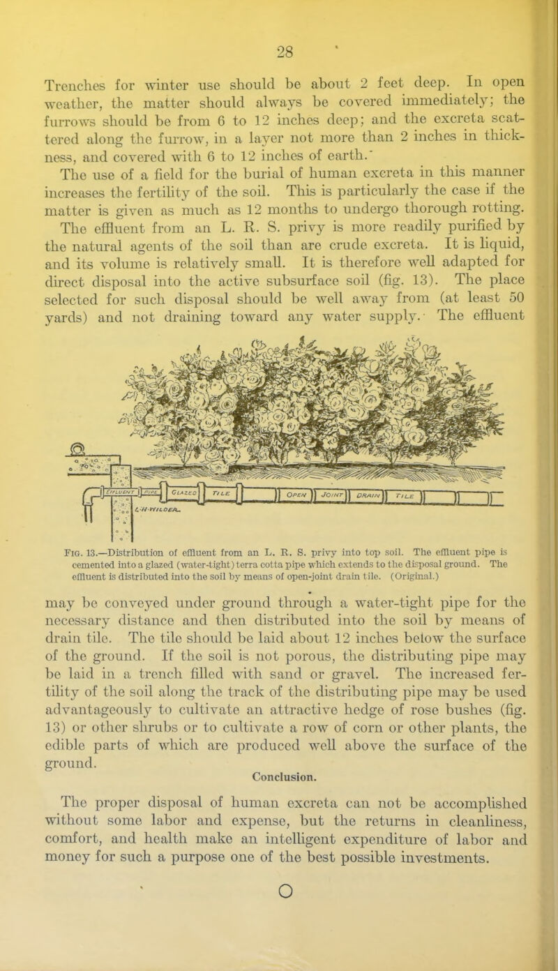 Trenches for winter use should be about 2 feet deep. In open weather, the matter should always be covered immediately; the furrows should be from 6 to 12 inches deep; and the excreta scat- tered along the furrow, in a layer not more than 2 inches in thick- ness, and covered with 6 to 12 inches of earth. The use of a field for the burial of human excreta in this manner increases the fertility of the soil. This is particularly the case if the matter is given as much as 12 months to undergo thorough rotting. The effluent from an L. R. S. privy is more readily purified by the natural agents of the soil than are crude excreta. It is liquid, and its volume is relatively small. It is therefore well adapted for direct disposal into the active subsurface soil (fig. 13). The place selected for such disposal should be well away from (at least 50 yards) and not draining toward any water supply. The effluent Fig. 13.—Distribution of effluent from an L. R. S. privy into top soil. The effluent pipe Is cemented into a glazed (water-tight) terra cotta pipe wliich extends to the disposal ground. The effluent is distributed into the soil by means of open-joint drain tile. (Original.) may be conveyed under ground through a water-tight pipe for the necessary distance and then distributed into the soil by means of drain tile. The tile should be laid about 12 inches below the surface of the ground. If the soil is not porous, the distributing pipe may be laid in a trench filled with sand or gravel. The increased fer- tility of the soil along the track of the distributing pipe ma}^- bo used advantageously to cultivate an attractive hedge of rose bushes (fig. 13) or other shrubs or to cultivate a row of corn or other plants, the edible parts of which are produced well above the surface of the ground. Conclusion. The proper disposal of human excreta can not be accomplished without some labor and expense, but the returns in cleanliness, comfort, and health make an intelligent expenditure of labor and money for such a purpose one of the best possible investments. O