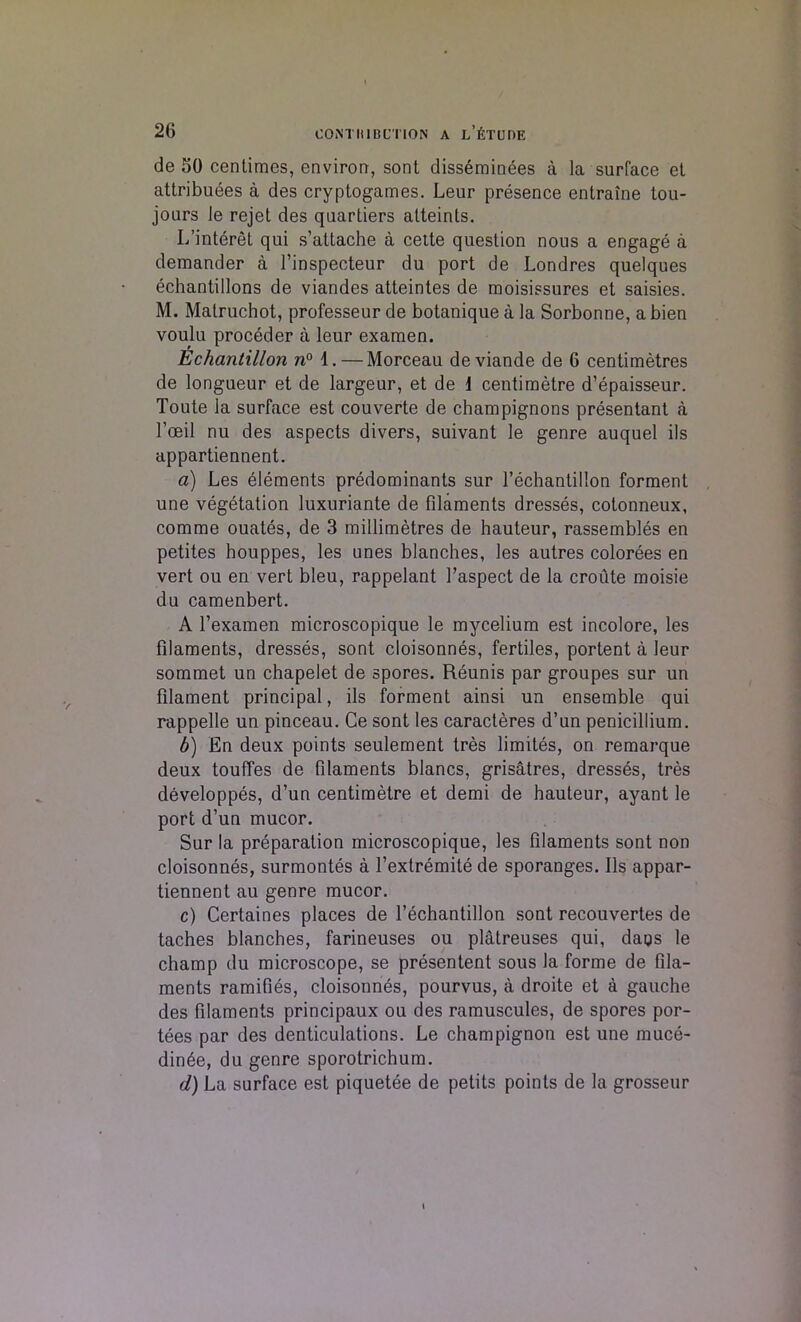 de 50 centimes, environ, sont disseminees a la surface et attributes a des cryptogames. Leur presence entraine tou- jours le rejet des quartiers alteints. L’interet qui s’attache a cette question nous a engage a demander a l’inspecteur du port de Londres quelques echantillons de viandes atteintes de moisissures et saisies. M. Matruchot, professeur de botanique a la Sorbonne, a bien voulu proceder a leur examen. Echantillon n° 1.—Morceau deviande de 6 centimetres de longueur et de largeur, et de 1 centimetre d’epaisseur. Toute la surface est couverte de champignons presentant a Toeil nu des aspects divers, suivant le genre auquel ils appartiennent. a) Les elements predominants sur l’echantillon forment une vegetation luxuriante de filaments dresses, colonneux, comme ouates, de 3 millimetres de hauteur, rassembles en petites bouppes, les unes blanches, les autres colorees en vert ou en vert bleu, rappelant l’aspect de la croute moisie du camenbert. A l’examen microscopique le mycelium est incolore, les filaments, dresses, sont cloisonnes, fertiles, portent a leur sommet un chapelet de spores. Reunis par groupes sur un filament principal, ils forment ainsi un ensemble qui rappelle un pinceau. Ce sont les caracteres d’un penicillium. b) En deux points seulement tres limites, on remarque deux touffes de filaments blancs, grisatres, dresses, tres developpes, d’un centimetre et demi de hauteur, ayant le port d’un mucor. Sur la preparation microscopique, les filaments sont non cloisonnes, surmontes a l’extremite de sporanges. Ils appar- tiennent au genre mucor. c) Certaines places de l’echantillon sont recouvertes de taches blanches, farineuses ou platreuses qui, dags le champ du microscope, se presentent sous la forme de fila- ments ramifies, cloisonnes, pourvus, a droite et a gauche des filaments principaux ou des ramuscules, de spores por- tees par des denticulations. Le champignon est une muce- din6e, du genre sporotrichum. d) La surface est piquetee de petits points de la grosseur