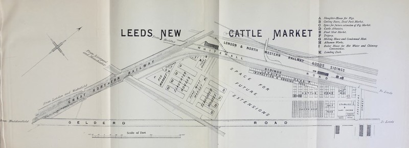 LEEDS,.JEW ARKET A Slaught€r^House for Pigs. B Cooling Roonii Dead Pork Market, 0 Space for future extetision of Pig Market. D Cattle Abbatoirs, H Dead Meat Market. P Tripery. Q Melting House and Condemned Meat. H Albumen Works. 1 Boiler House for Hot Water and Chimney Conveniences. K Landing Dock. J’o I/eeH<s