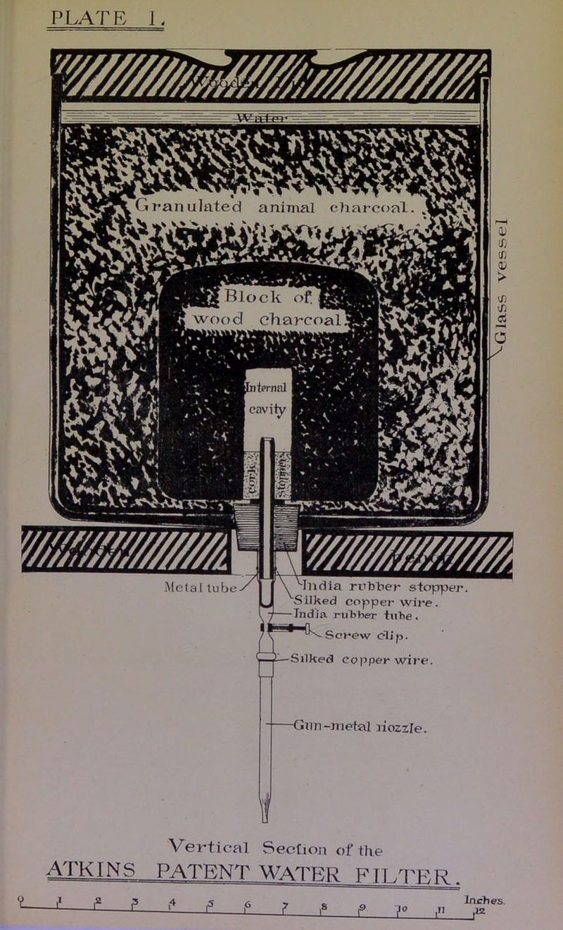 Sc»-ew clip. Silked Copper wire. -Gun-metal liozzle. ATKINS -I g- P Vertical Sectioa of the PATENT WATER FILTER . ^ L g f- ,n Glass vessel