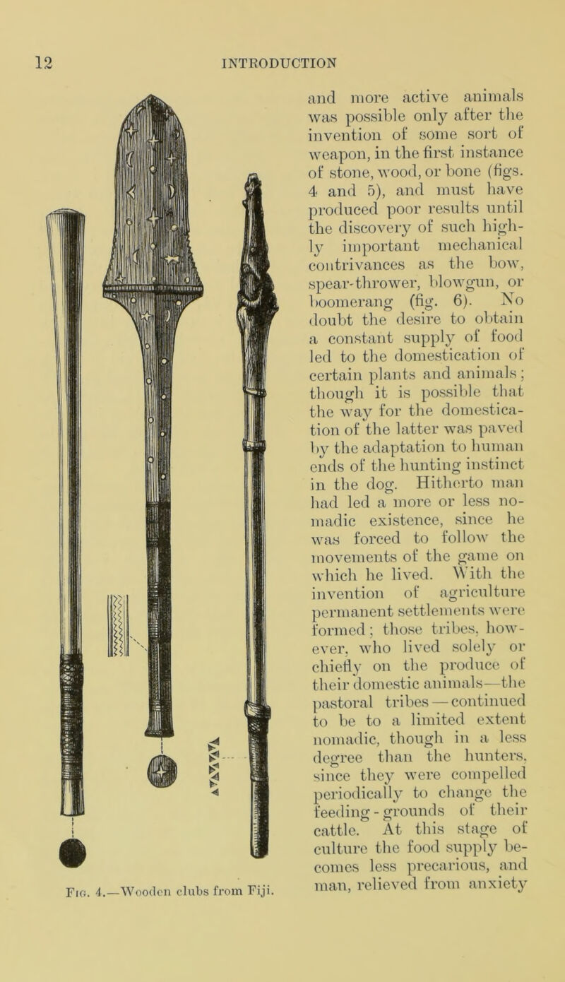 iWiTi clubs from Fiji. and more active animals was possible only after the invention of some sort of weapon, in the first instance of stone, wood, or bone (figs. 4 and 5), and must have produced poor results until the discovery of such high- ly important mechanical contrivances as the bow, spear-thrower, blowgun, or boomerang (fig. 6). No doubt the desire to obtain a constant supply of food led to the domestication of certain plants and animals ; though it is possible that the way for the domestica- tion of the latter was paved by the adaptation to human ends of the hunting instinct in the dog. Hitherto man had led a more or less no- madic existence, since he was forced to follow the movements of the game on which he lived. With the invention of agriculture permanent settlements were formed; those tribes, how- ever, who lived solely or chiefly on the produce of their domestic animals—the pastoral tribes — continued to be to a limited extent nomadic, though in a less degree than the hunters, since they were compelled periodically to change the feeding - grounds of their cattle. At this stage of culture the food supply be- comes less precarious, and man, relieved from anxiety