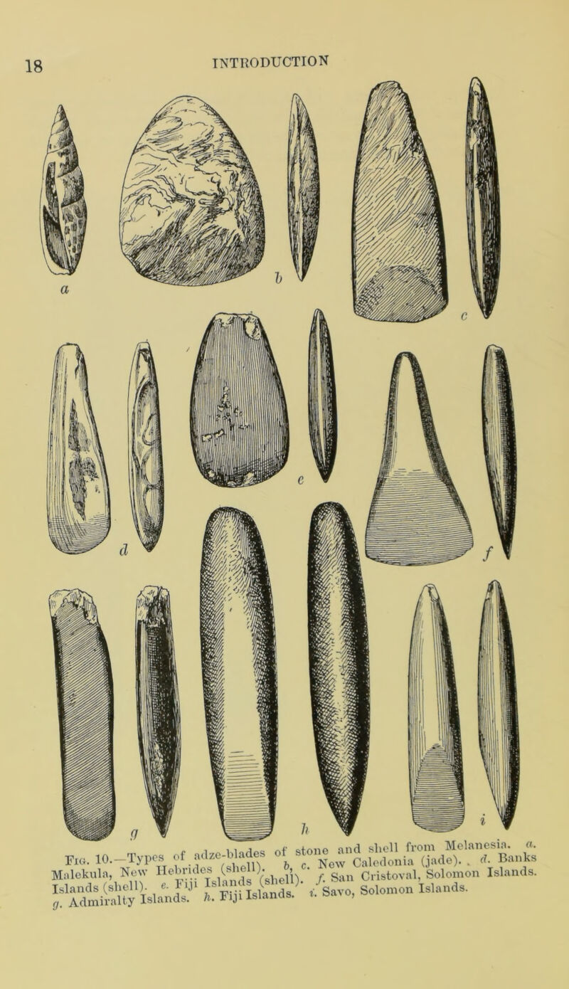 Fig. 10. Typos of adze-Wades of Malekula, Now Hebrides (shell)-, • Cristoval, Solomon Islands, isuna^' /save, Solomon Island,.