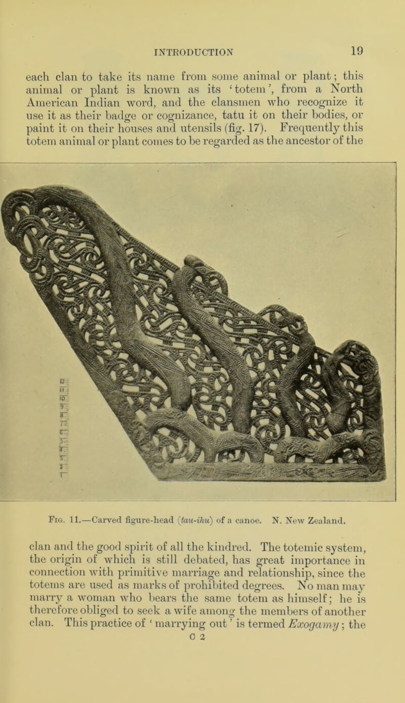 each clan to take its name from some animal or plant; this animal or plant is known as its ‘ totem from a North American Indian word, and the clansmen who recognize it use it as their badge or cognizance, tatu it on their bodies, or paint it on their houses and utensils (fig. 17). Frequently this totem animal or plant comes to be regarded as the ancestor of the Fig. 11.—Carved figure-head (tau-ihu) of a canoe. N. New Zealand. clan and the good spirit of all the kindred. The totemic system, the origin of which is still debated, has great importance in connection with primitive marriage and relationship, since the totems are used as marks of prohibited degrees. No man may marry a woman who bears the same totem as himself; he is therefore obliged to seek a wife among the members of another clan. This practice of ‘ marrying out ’ is termed Exogamy; the