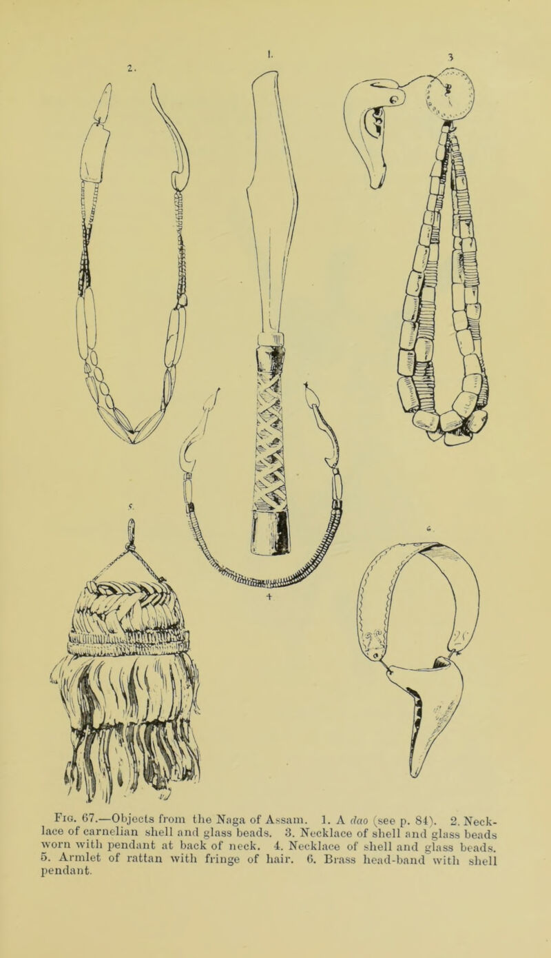 Fig. 67.—Objects from the Naga of Assam. 1. A dao (see p. 84). 2. Neck- lace of carnelian shell and glass beads. 3. Necklace of shell and glass beads worn with pendant at back of neck. 4. Necklace of shell and glass beads. 6. Armlet of rattan with fringe of hair. 6. Brass head-band with shell pendant.