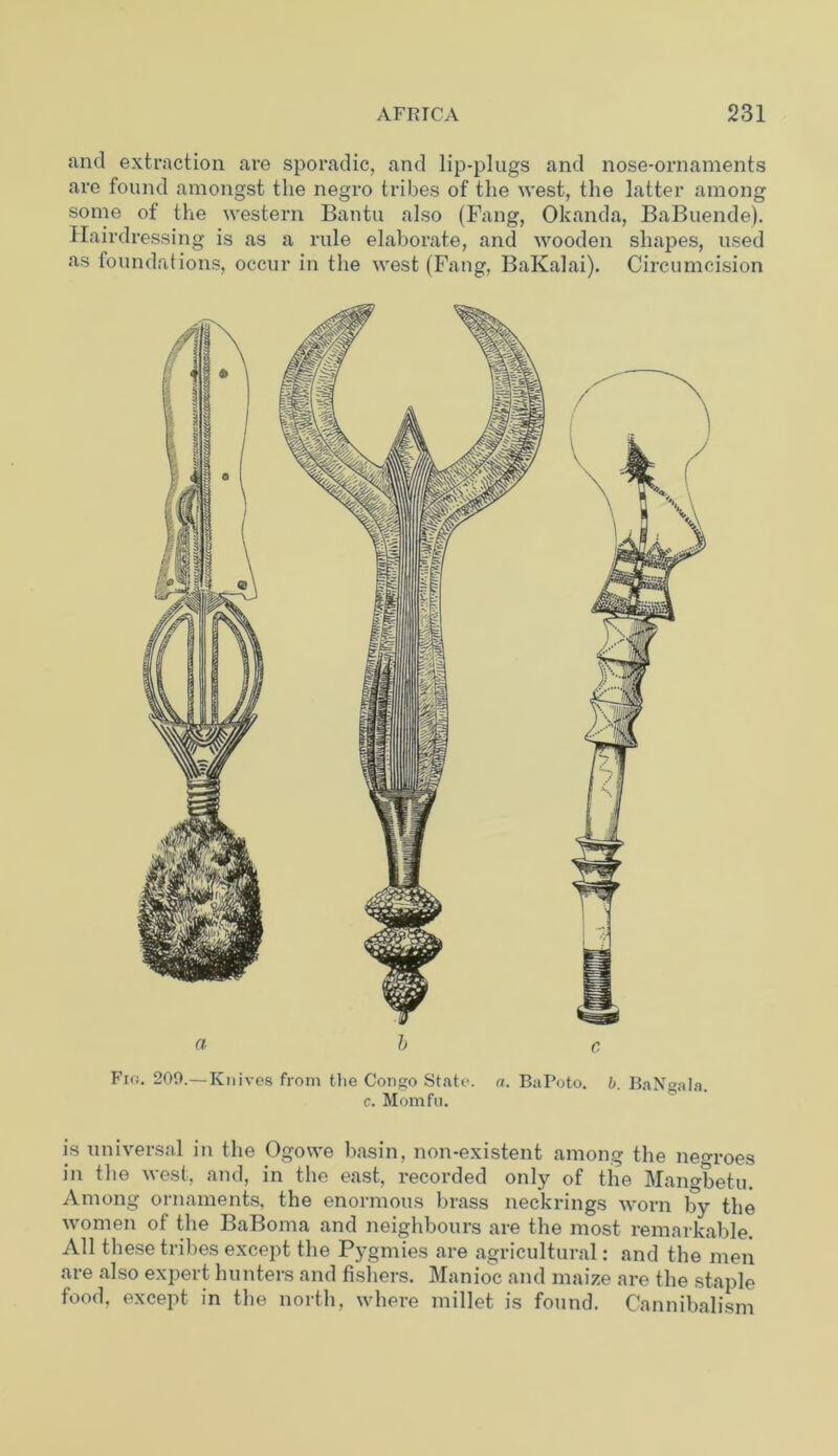 and extraction are sporadic, and lip-plugs and nose-ornaments are found amongst the negro tribes of the west, the latter among some of the western Bantu also (Fang, Okanda, BaBuende). Hairdressing is as a rule elaborate, and wooden shapes, used as foundations, occur in the west (Fang, BaKalai). Circumcision a b c Fio. 209.—Knives from the Congo State, a. BaPoto. b. BaN«ala. c. Momfu. is universal in the Ogowe basin, non-existent among the negroes in the west, and, in the east, recorded only of the Mano-betu. Among ornaments, the enormous brass neckrings worn by the women of the BaBoma and neighbours are the most remarkable. All these tribes except the Pygmies are agricultural: and the men are also expert hunters and fishers. Manioc and maize are the staple food, except in the north, where millet is found. Cannibalism