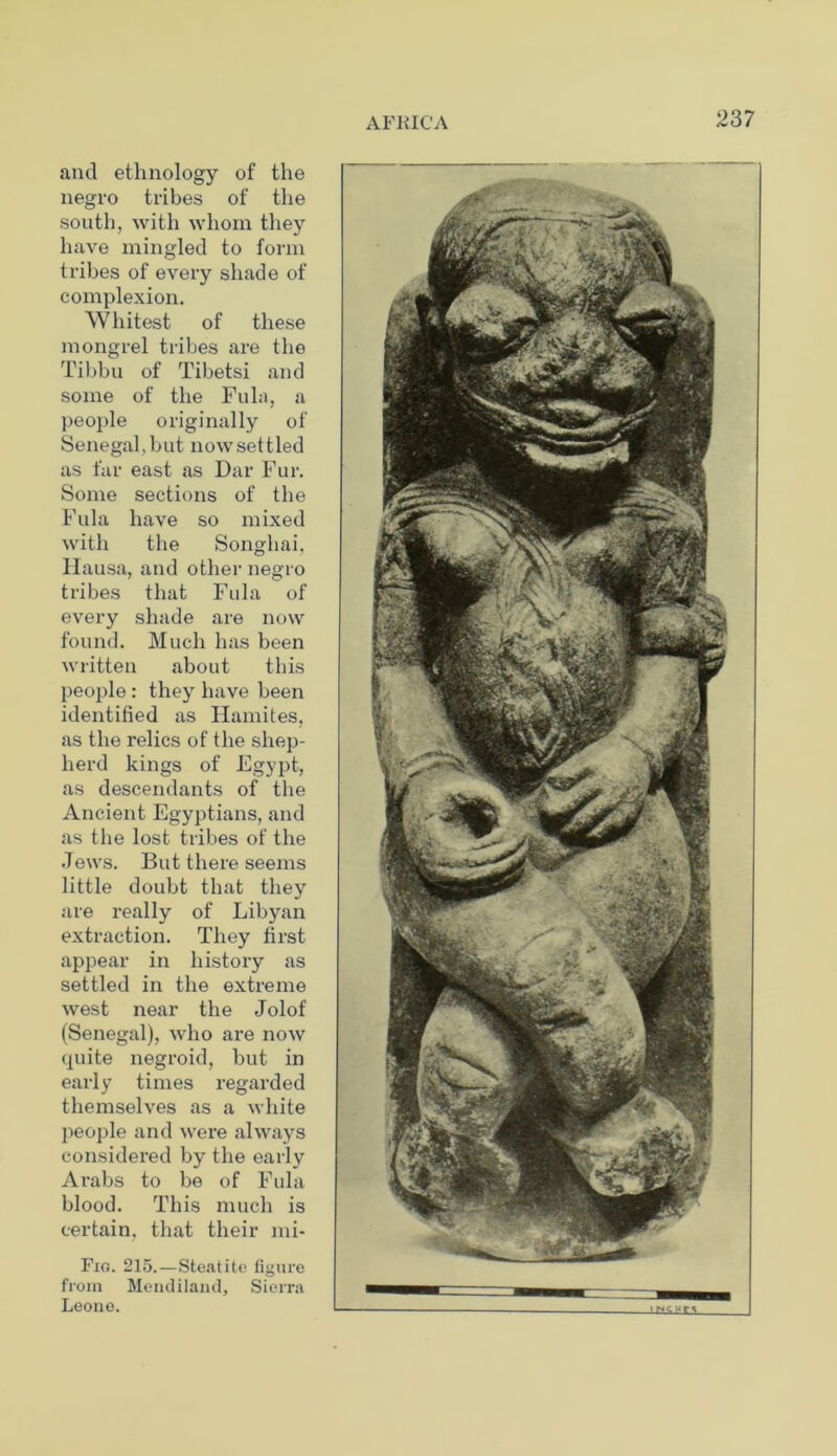 and ethnology of the negro tribes of the south, with whom they have mingled to form tribes of every shade of complexion. Whitest of these mongrel tribes are the Tibbu of Tibetsi and some of the Fula, a people originally of Senegal,but nowsettled as far east as Dar Fur. Some sections of the Fula have so mixed with the Songhai, Hausa, and other negro tribes that Fula of every shade are now found. Much has been written about this people : they have been identified as Hamites, as the relics of the shep- herd kings of Egypt, as descendants of the Ancient Egyptians, and as the lost tribes of the Jews. But there seems little doubt that they are really of Libyan extraction. They first appear in history as settled in the extreme west near the Jolof (Senegal), who are now (piite negroid, but in early times regarded themselves as a white people and were always considered by the early Arabs to be of Fula blood. This much is certain, that their mi- Fig. 215.—Steatite figure from Mendiland, Sierra Leone.