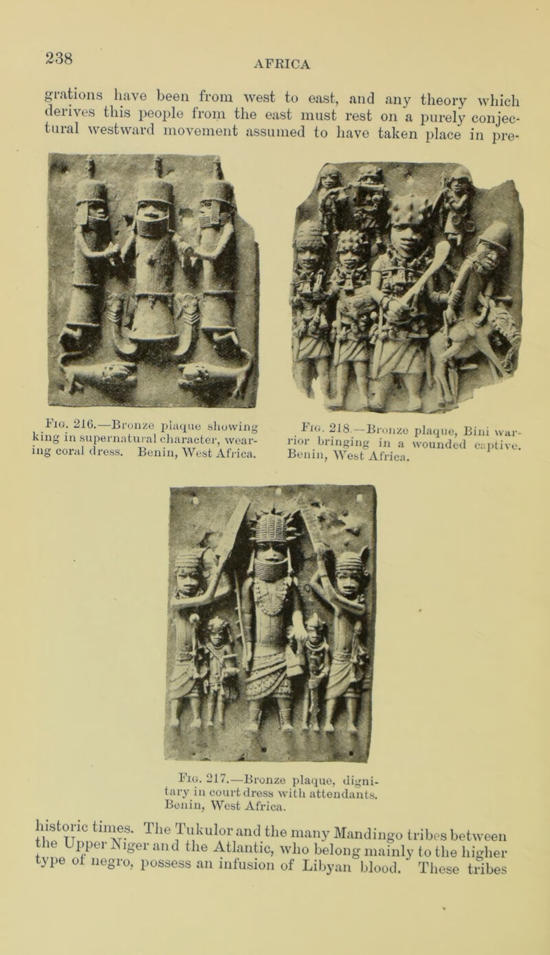 AFRICA grations have been from west to east, and any theory which dem es this people from the east must rest on a purely conjec- tural westward movement assumed to have taken place in pre- Fig. 218—Bronze plaque, Bini war- rior bringing in a wounded captive. Benin, West Africa. Fig. 217.—Bronze plaque, digni- tary in court dress with attendants. Bonin, West Africa. histoi ic tiines. I he 1 ukulor and the many Mandingo tribes between the Upper Niger and the Atlantic, who belong mainly to the higher type of negro, possess an infusion of Libyan blood. These tribes
