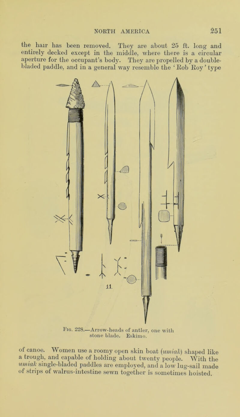 the hair has been removed. They are about 25 ft. long and entirely decked except in the middle, where there is a circular aperture for the occupant’s body. They are propelled by a double- bladed paddle, and in a general way resemble the ‘ Rob Roy ’ type Fig. 228.—Arrow-heads of antler, one with stone blade. Eskimo. of canoe. Women use a roomy open skin boat (umiak) shaped like a trough, and capable of holding about twenty people. With the umiak single-bladed paddles are employed, and a low lug-sail made of strips ot walrus-intestine sewn together is sometimes hoisted.